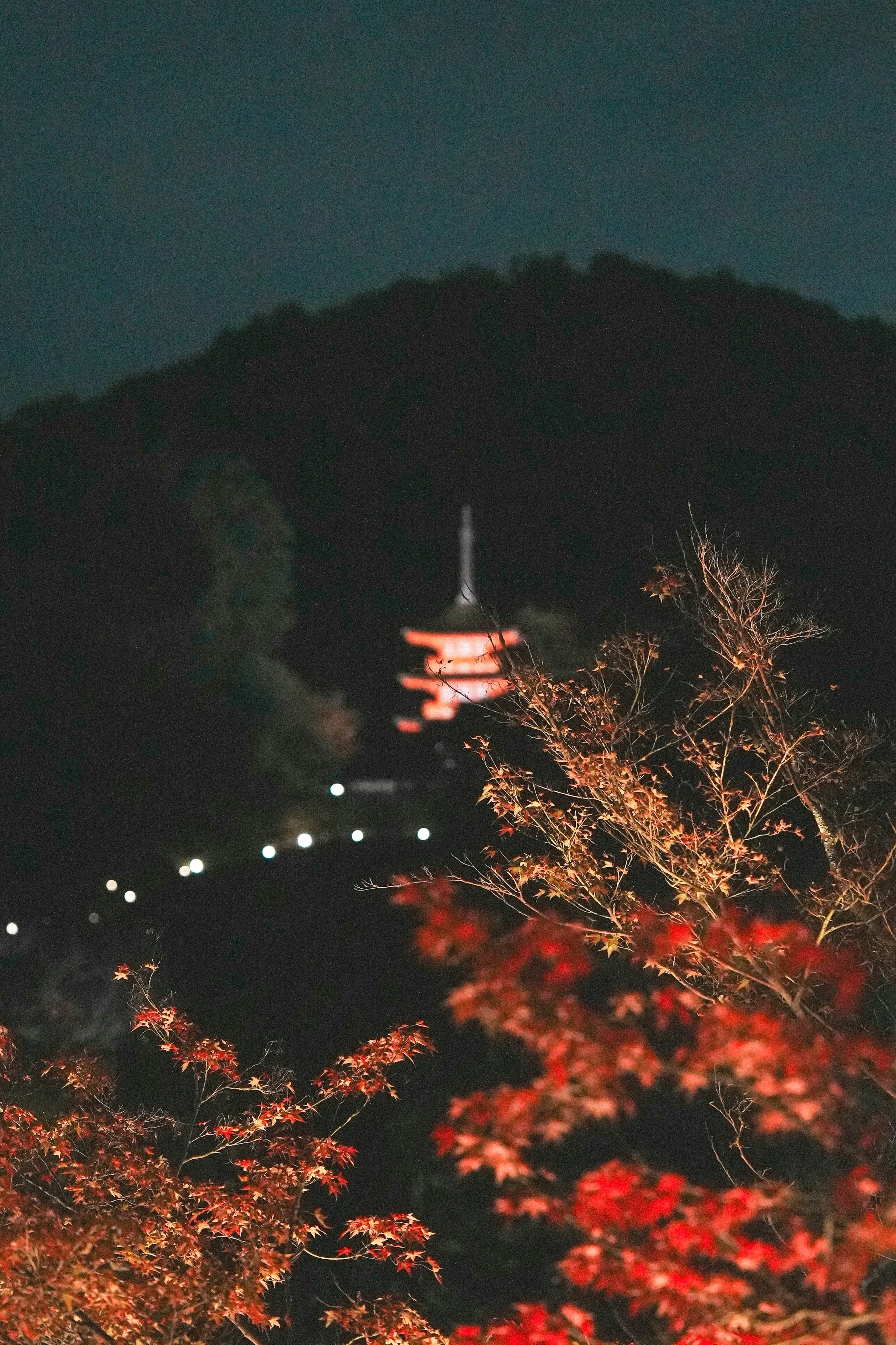 Illuminated pagoda atop a mountain surrounded by autumn foliage at night