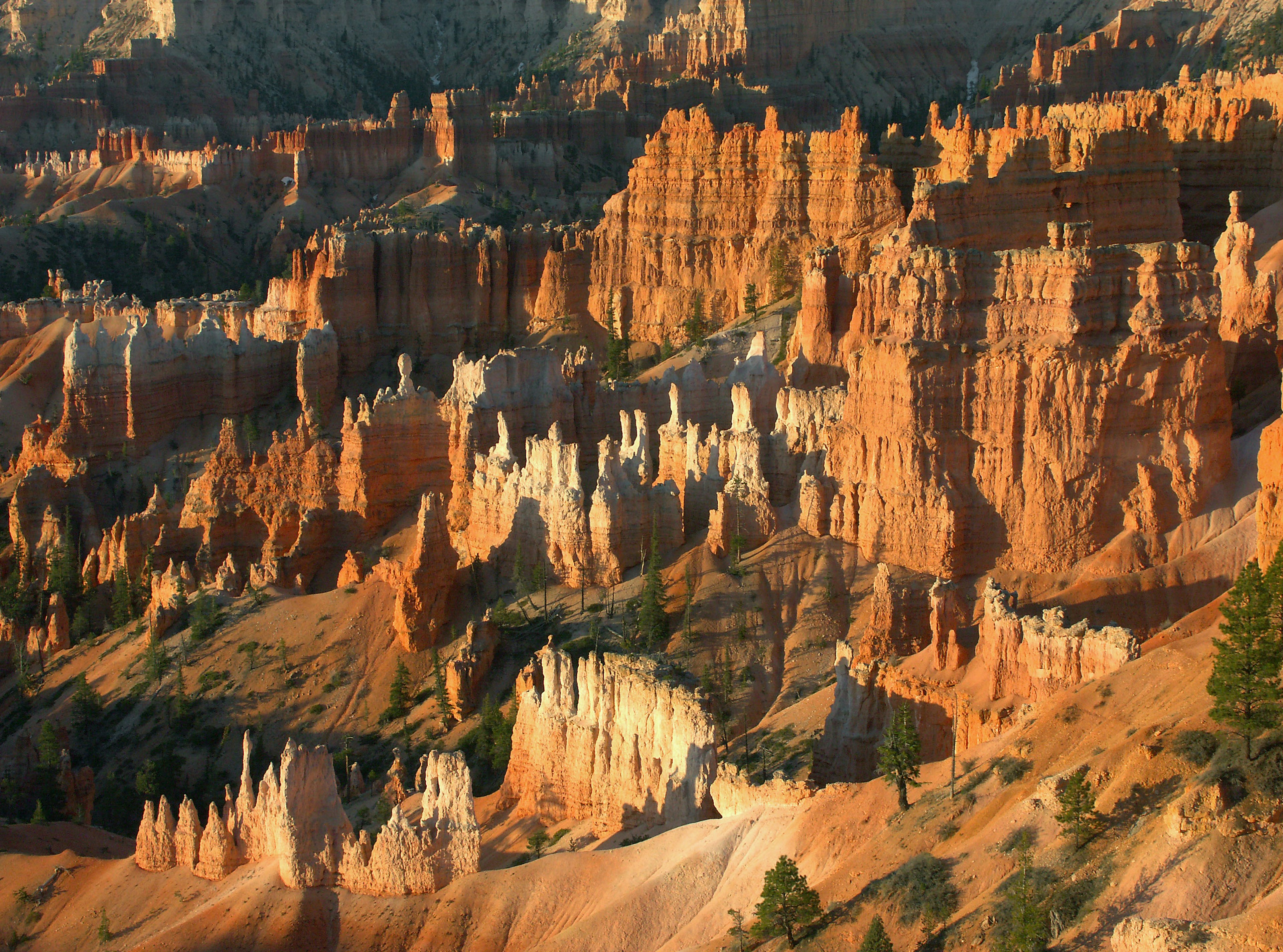 Paesaggio che mostra le formazioni rocciose rosse del Bryce Canyon