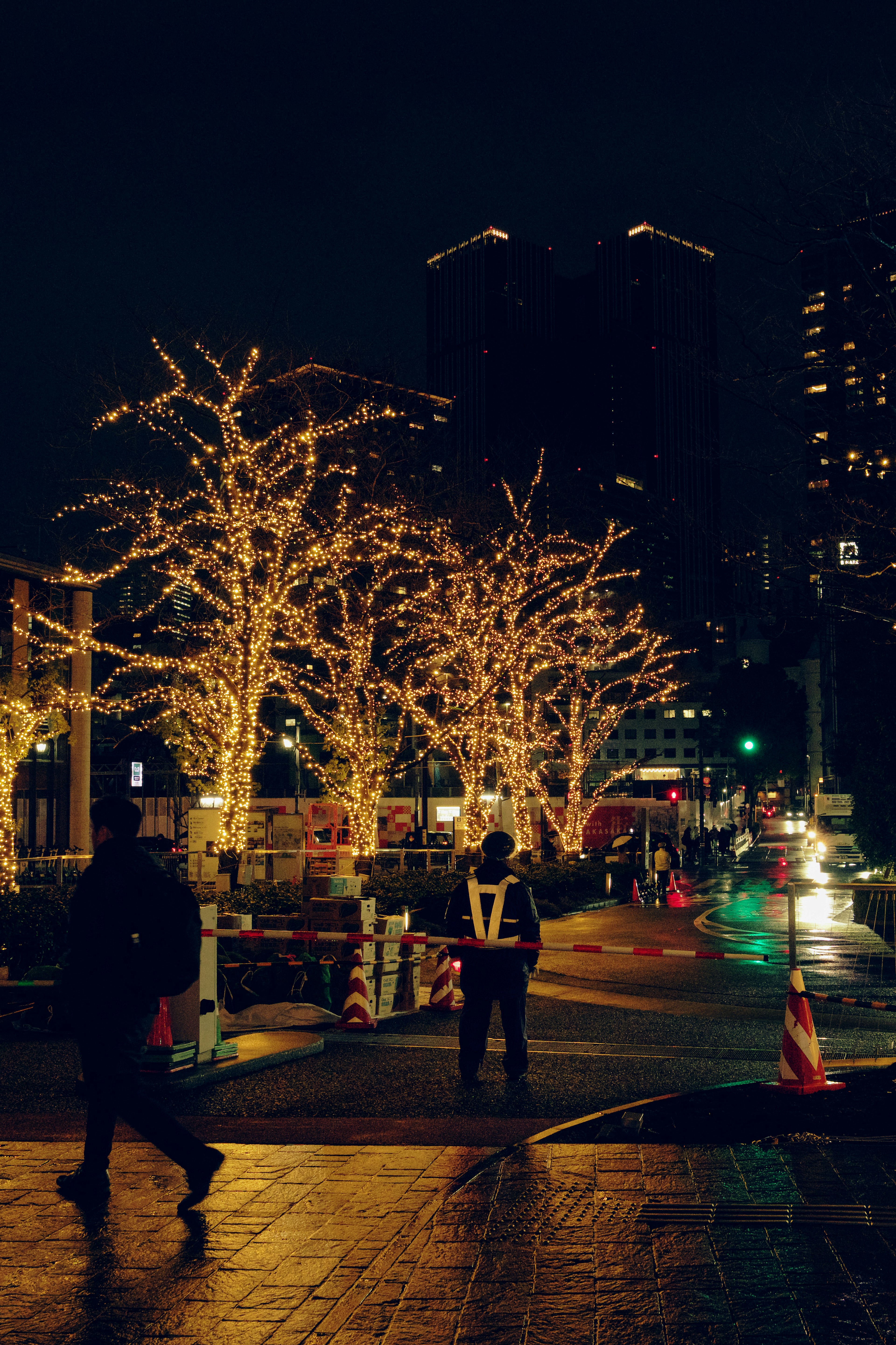 Arbres illuminés dans une rue de la ville la nuit avec des piétons