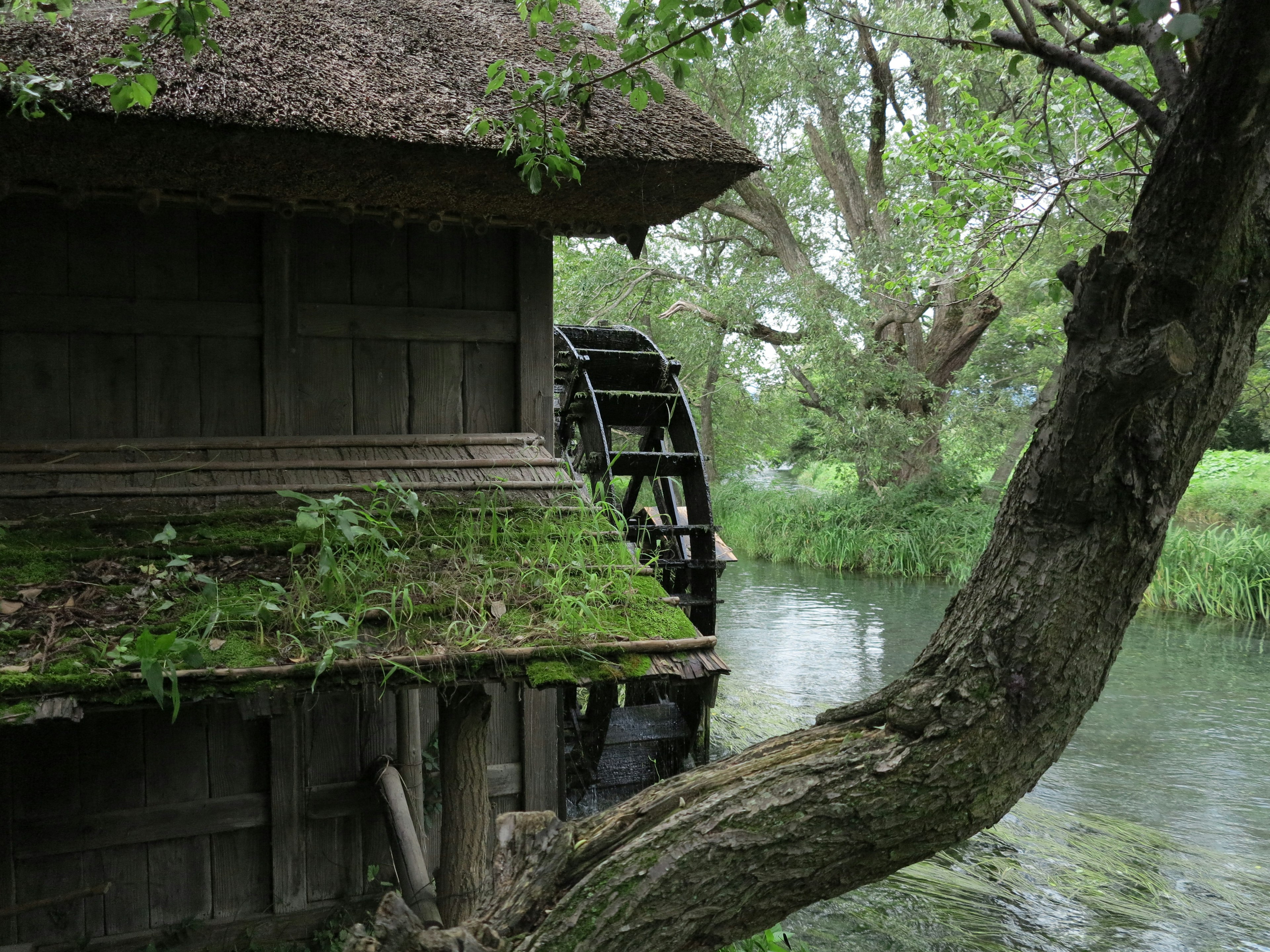 Ancien moulin à eau entouré d'une verdure luxuriante et d'un ruisseau tranquille