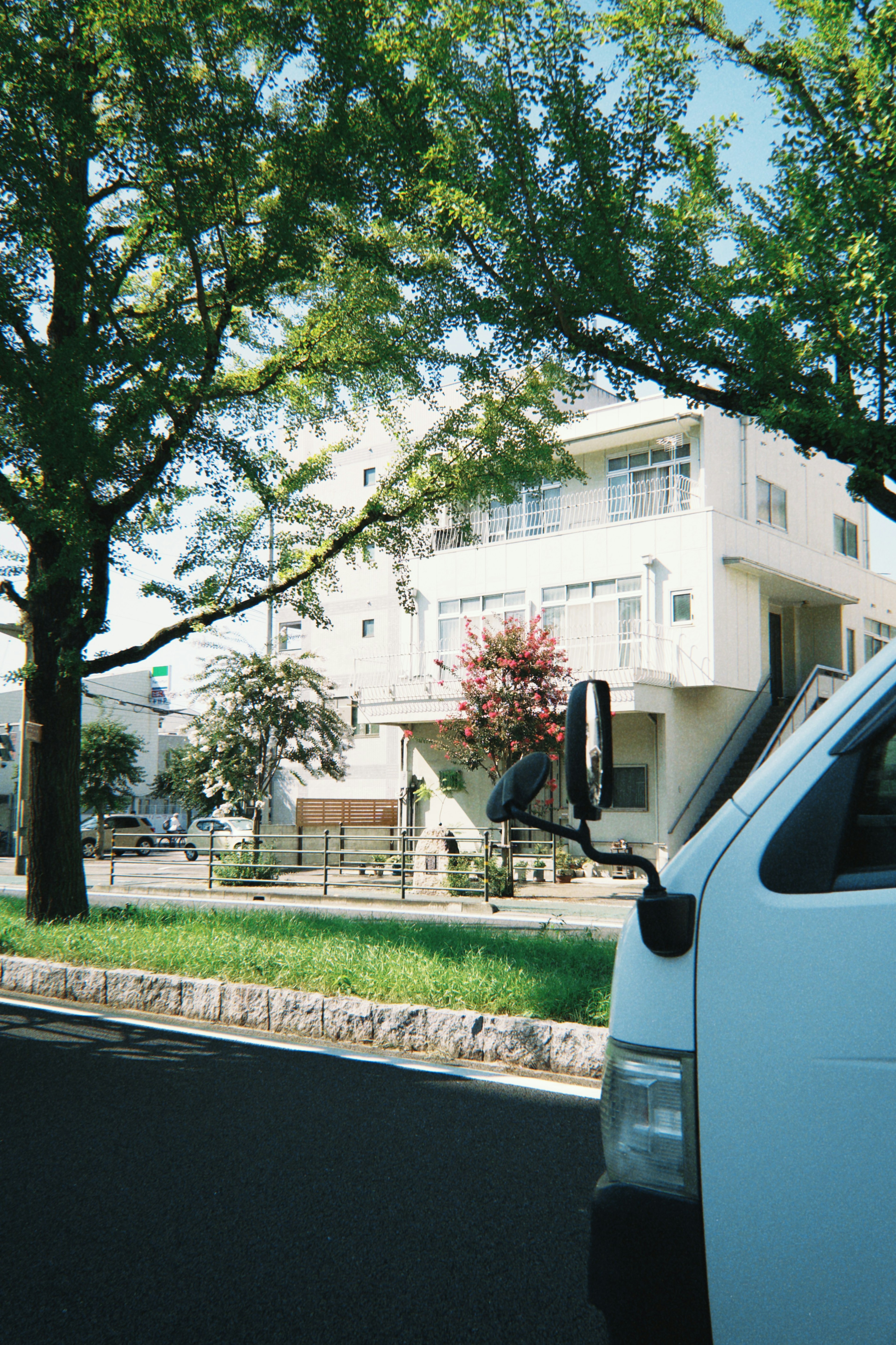 緑の木々と白い建物の前に停車した車