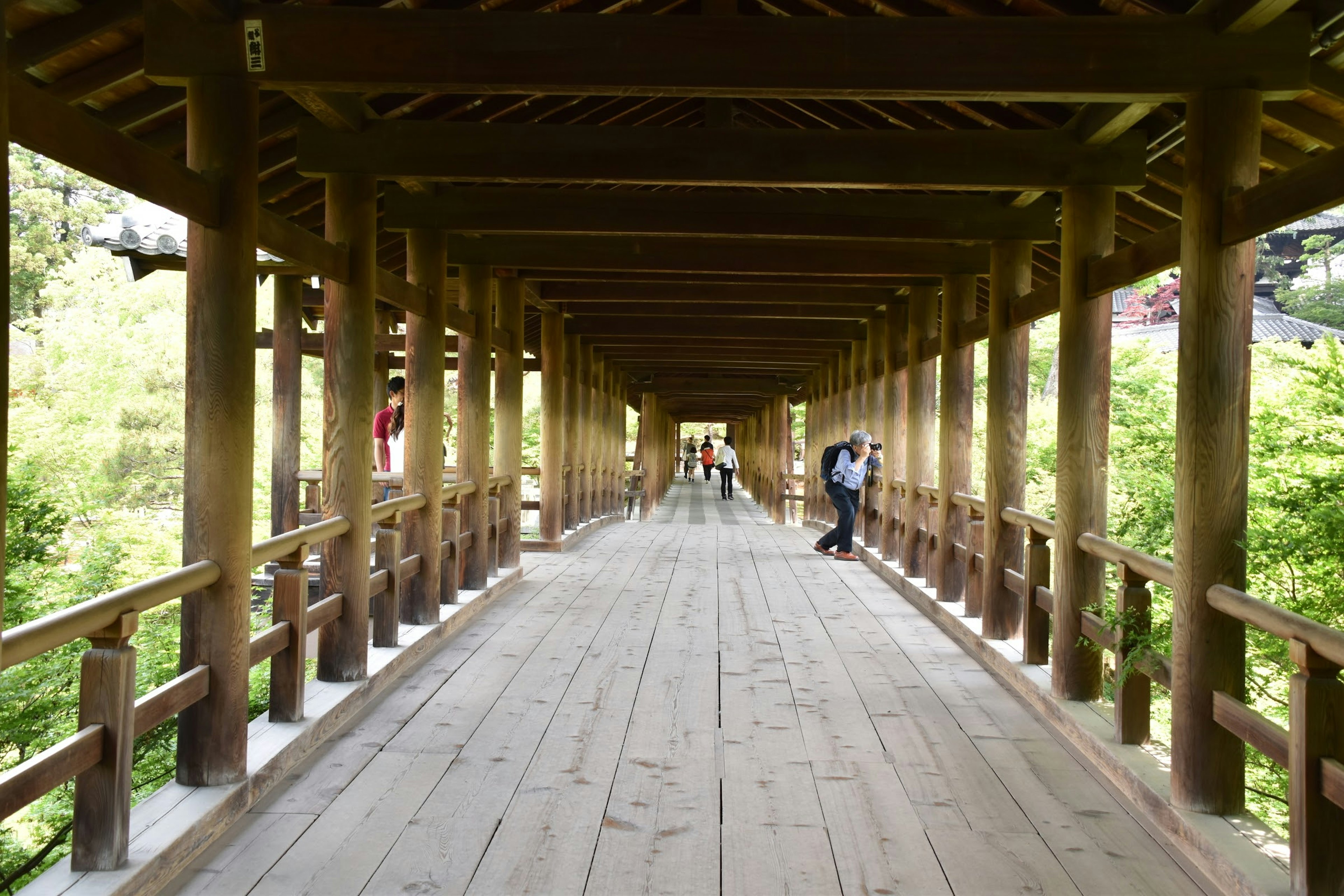 Vista interior de un puente de madera con un camino y vegetación