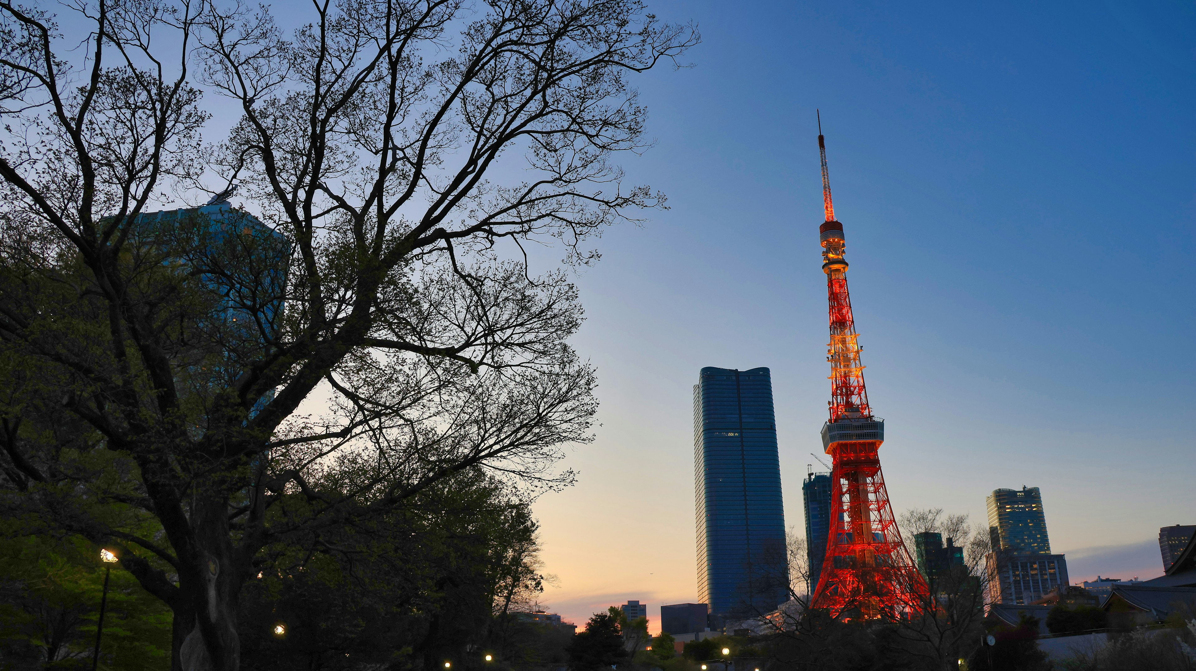 Tokyo Tower bei Sonnenuntergang beleuchtet mit klarem Himmel