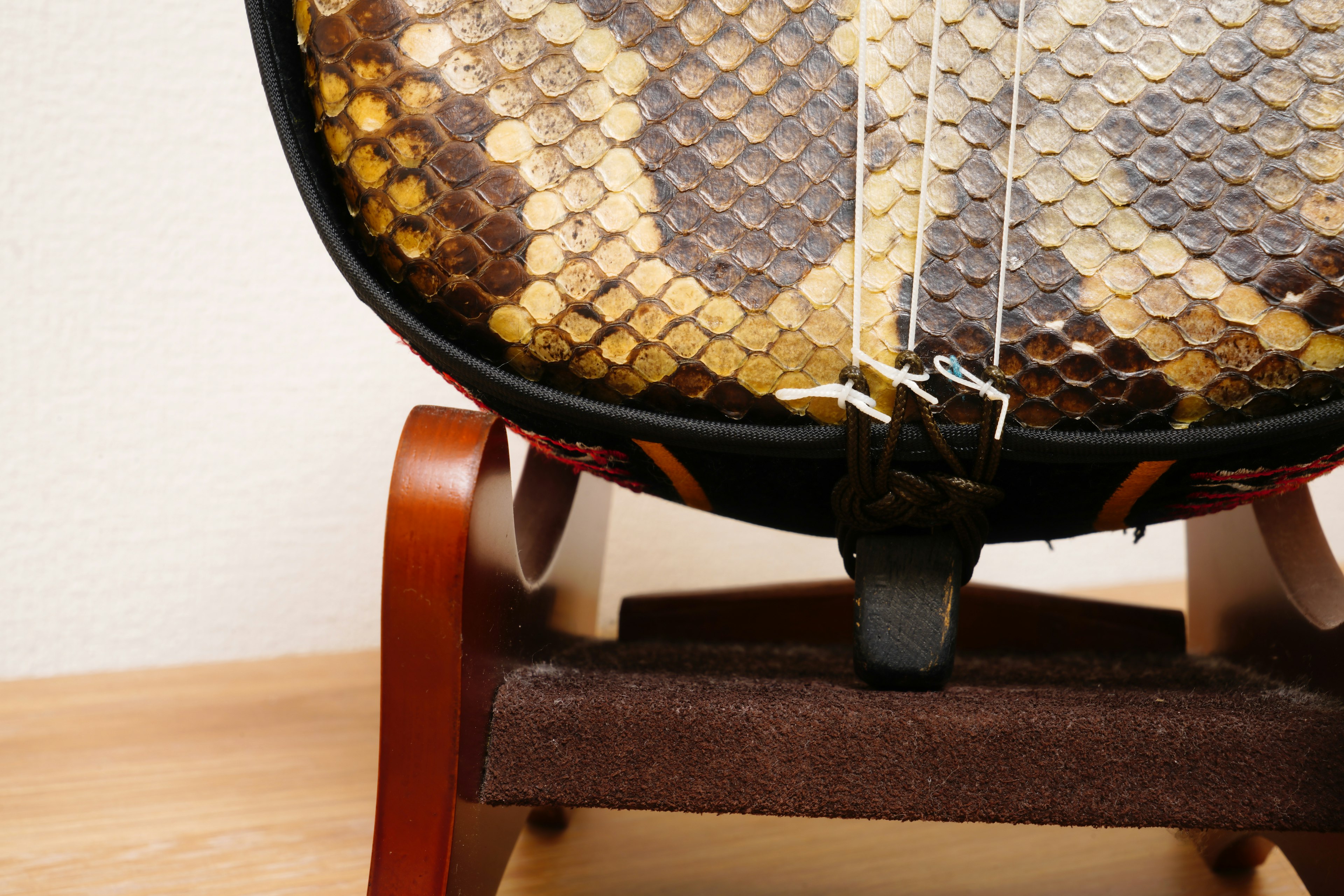 Back of a musical instrument featuring snake skin pattern