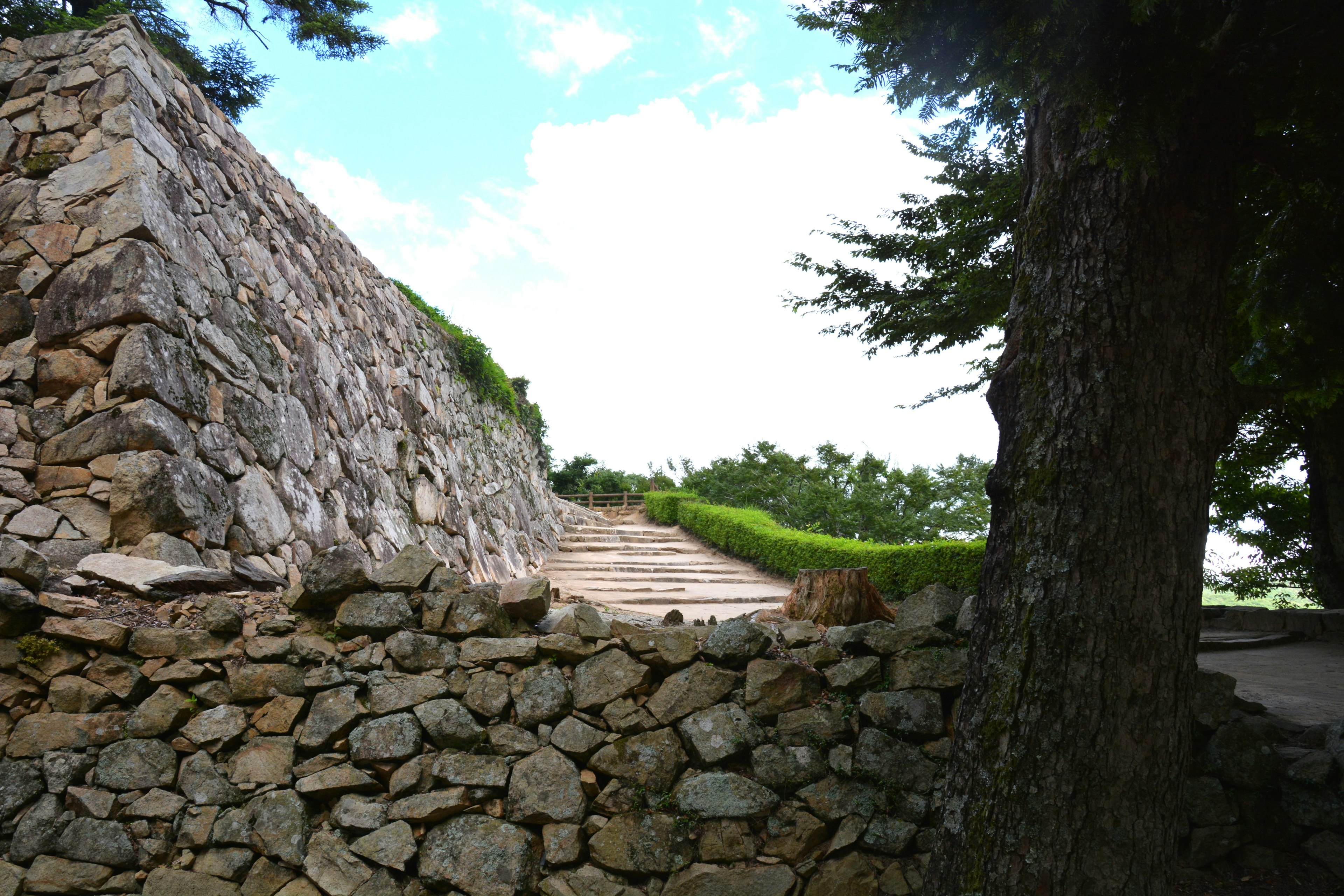 Una vista escénica con un muro de piedra y escaleras rodeadas de vegetación y cielo azul