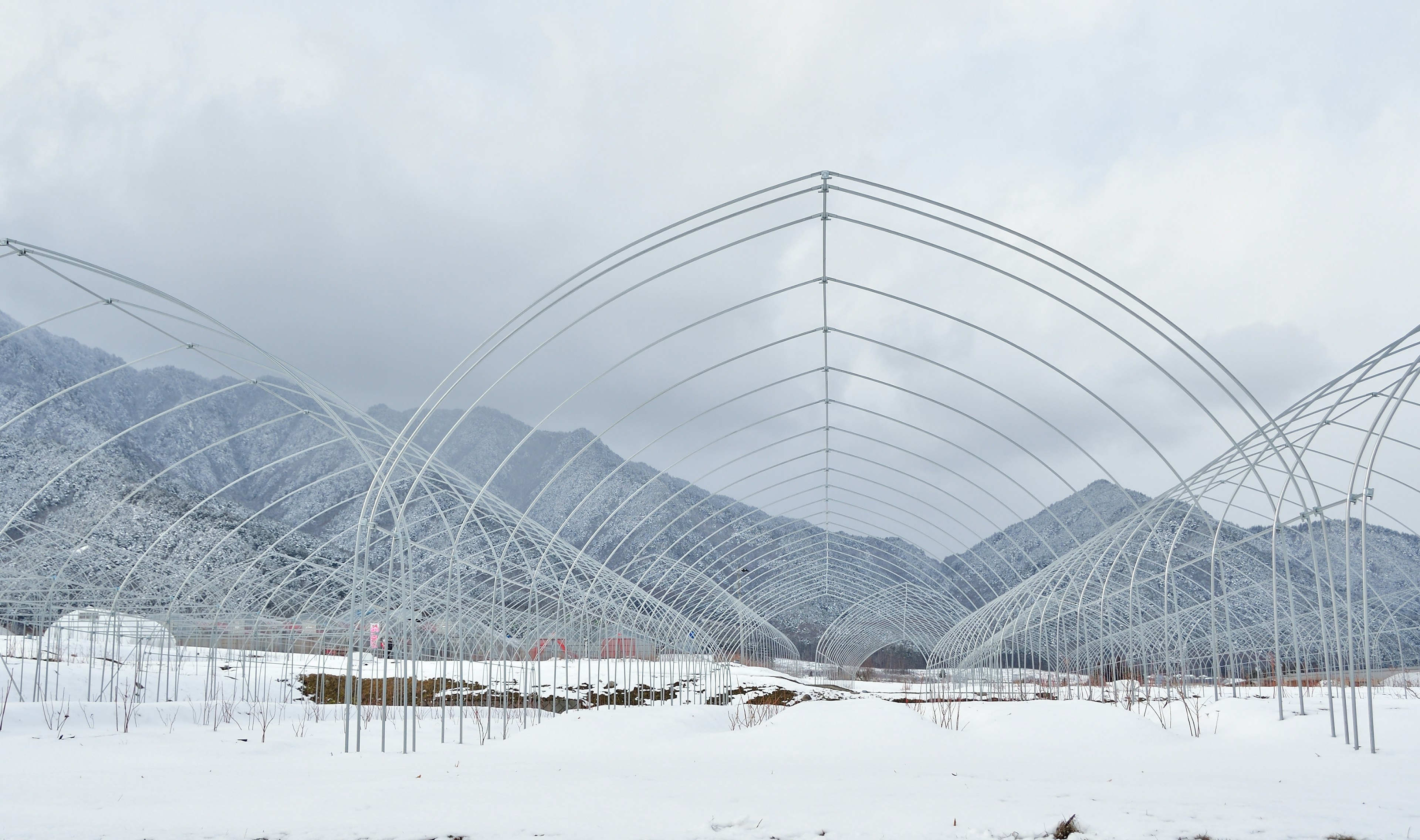 Greenhouse frames in a snowy landscape surrounded by mountains