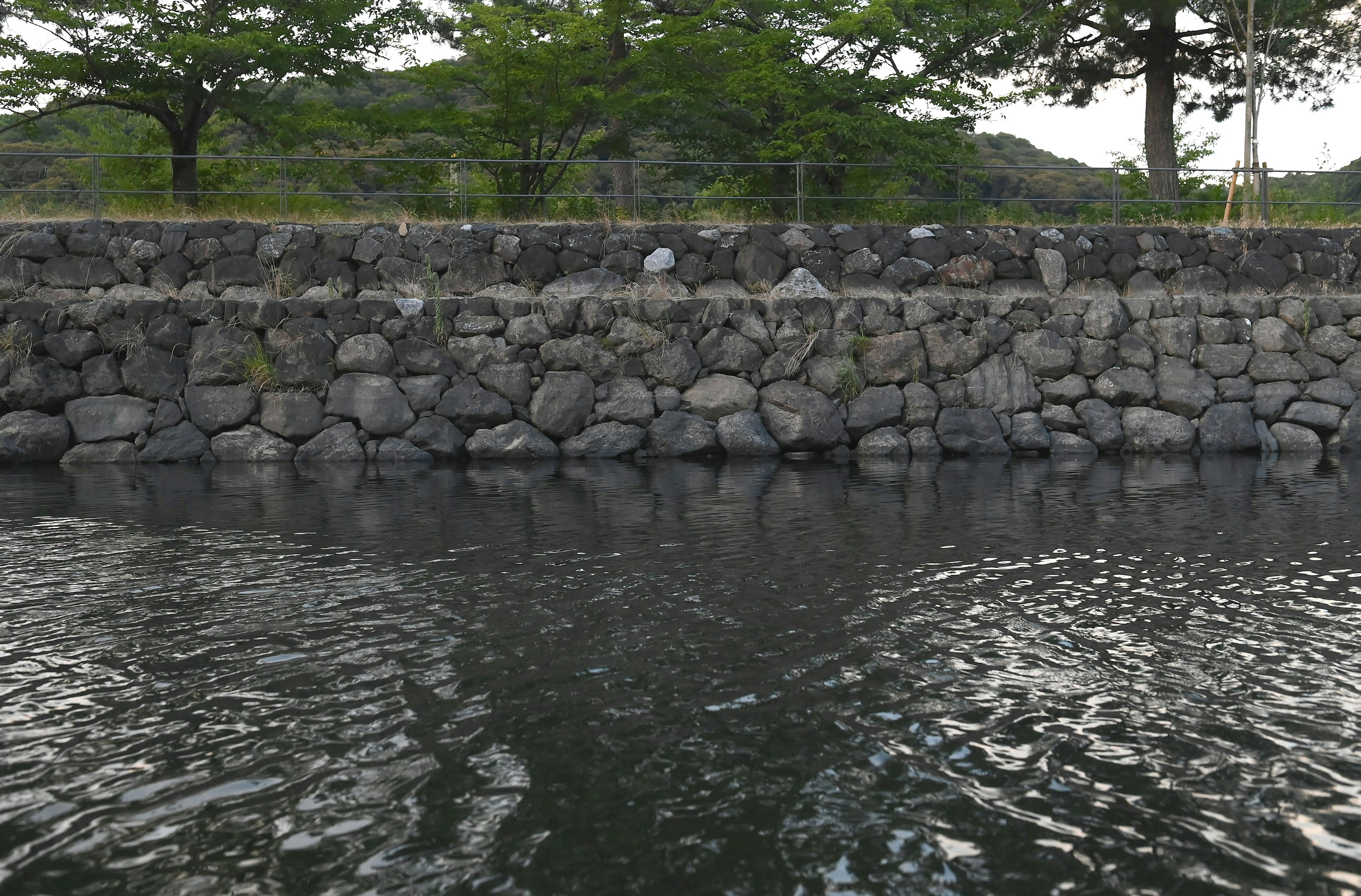 Stone wall and trees reflected in water surface