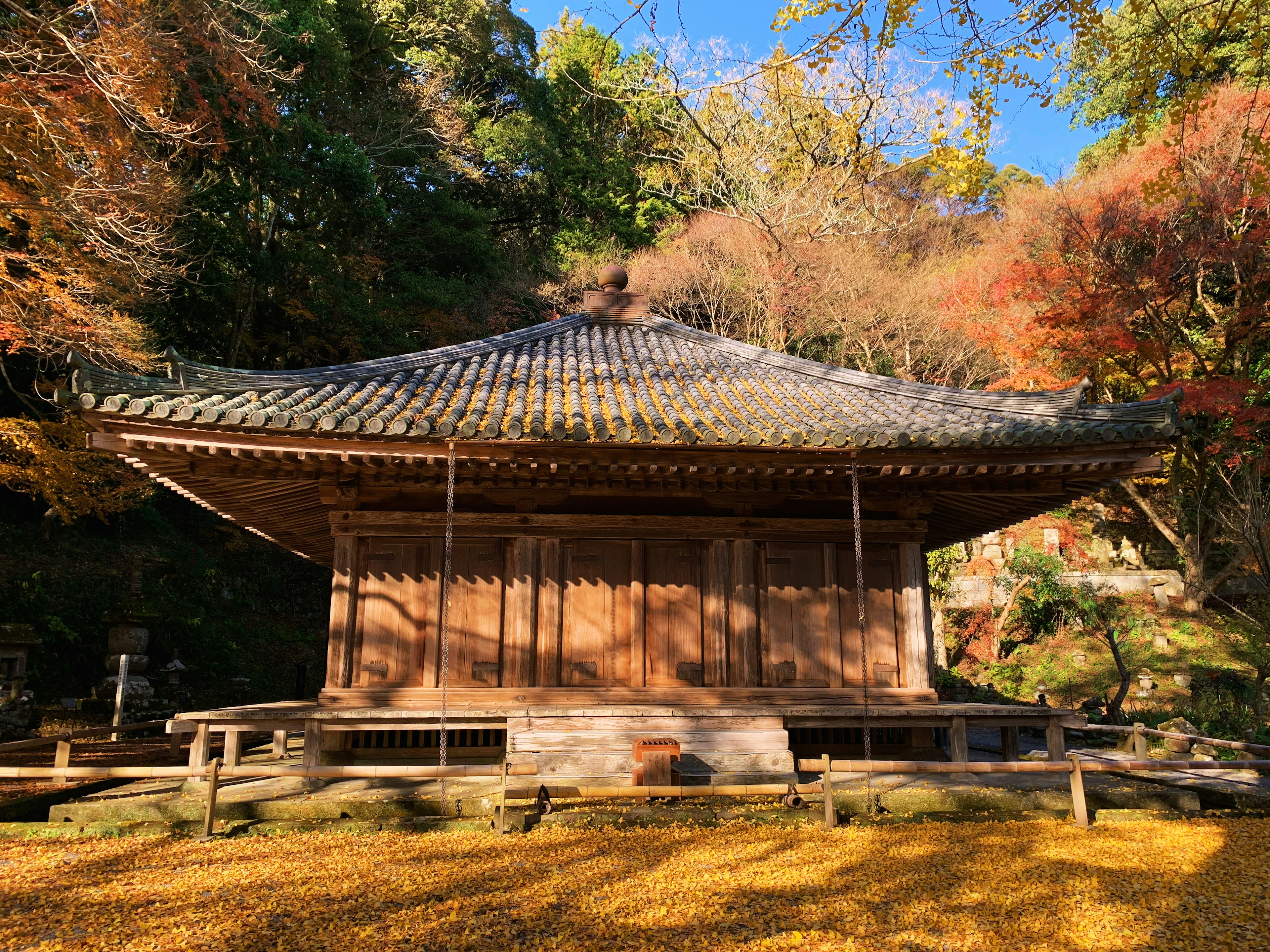 Traditional Japanese temple building surrounded by autumn foliage