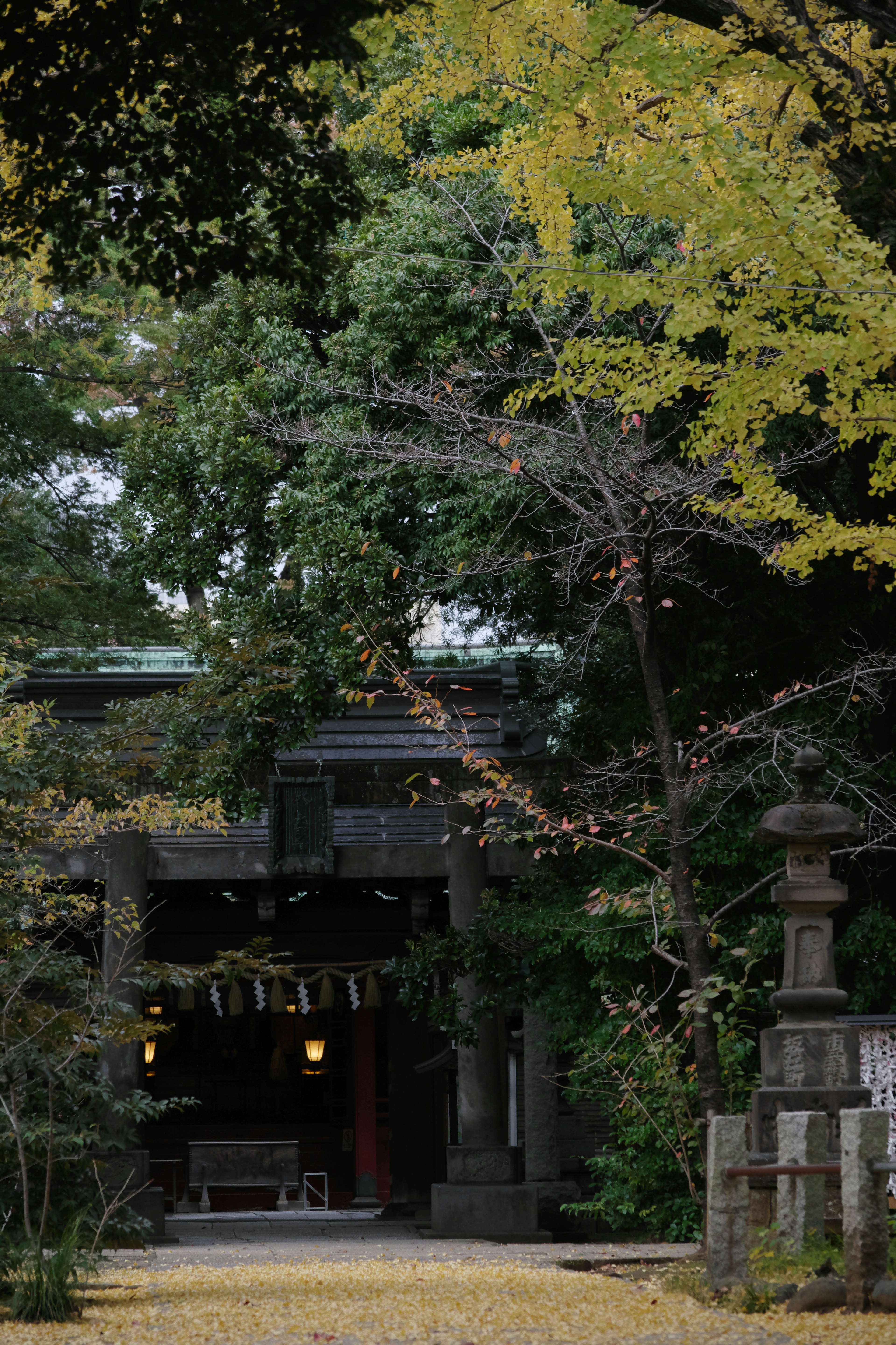 秋の風景に囲まれた神社の入り口 緑と黄色の葉に囲まれた静かな場所