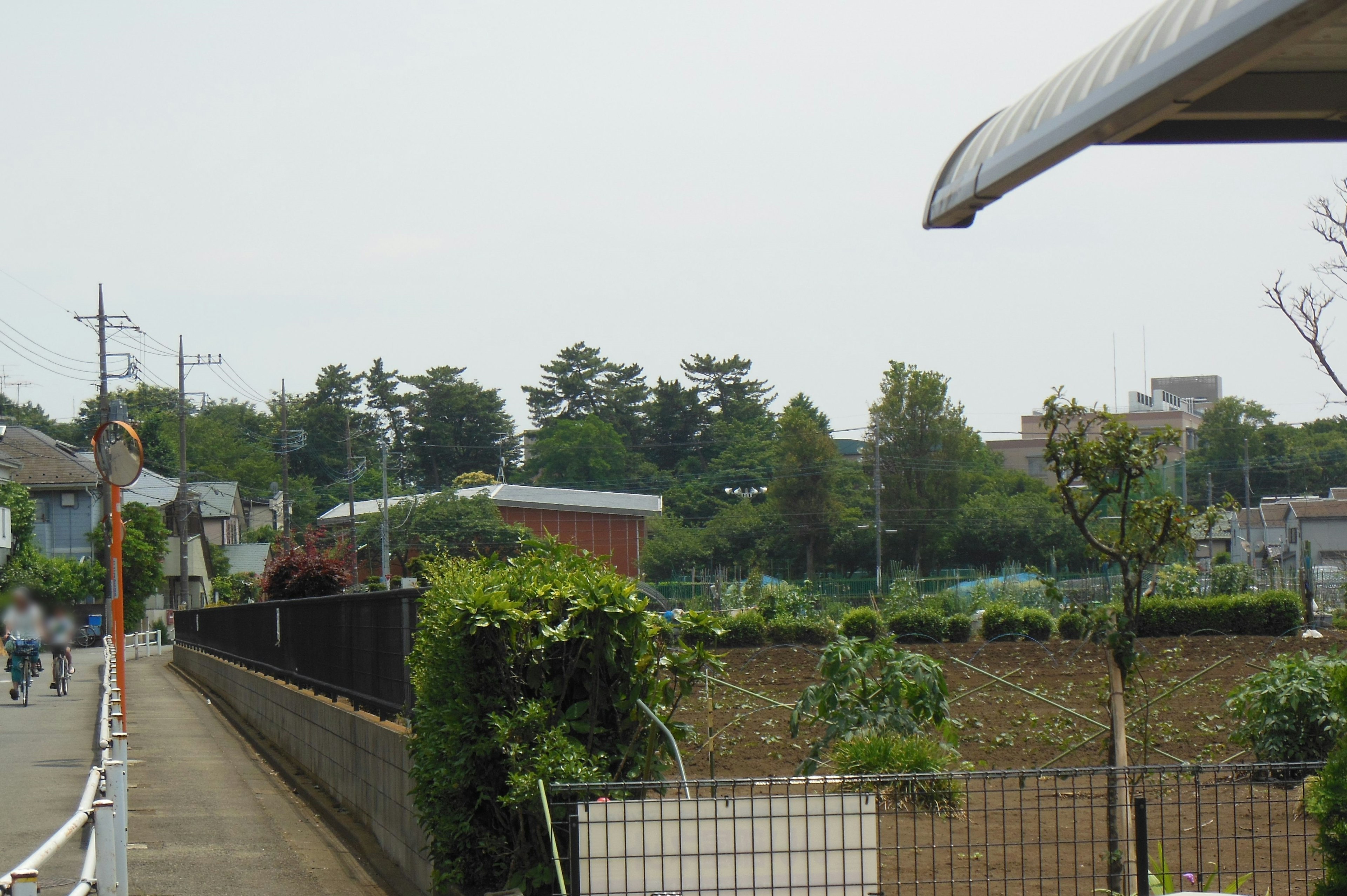 Pemandangan indah dari area perumahan dengan vegetasi subur dan kebun rumah