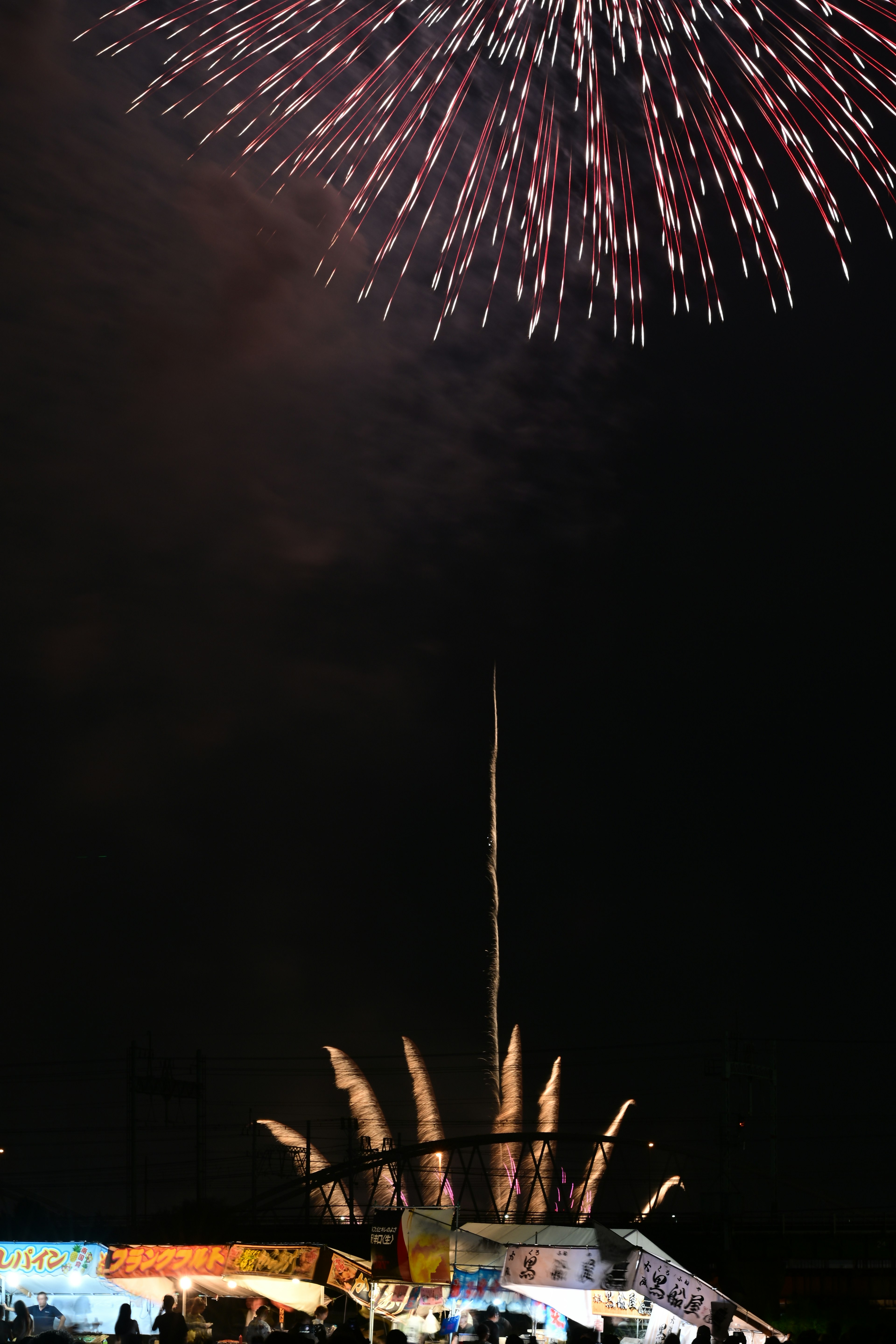 Fuochi d'artificio che illuminano il cielo notturno con colori vivaci