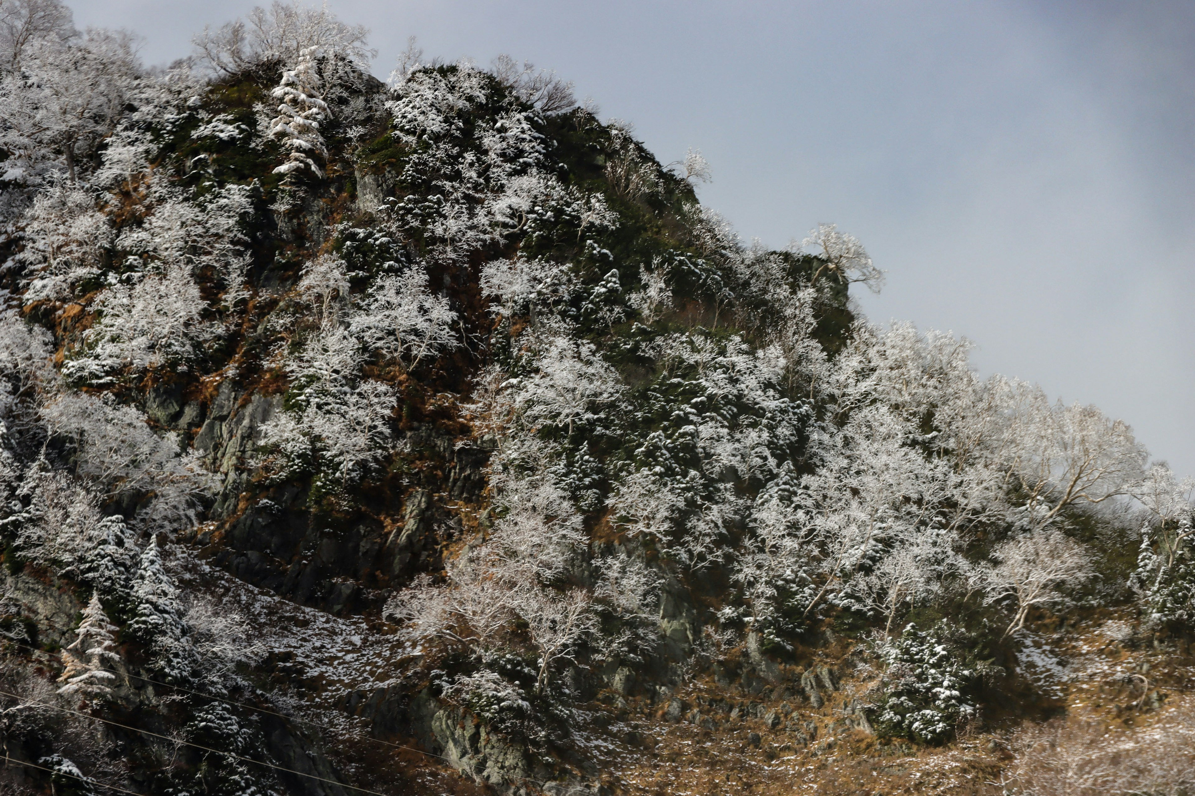 Snow-covered mountain landscape with frosty trees and cool tones