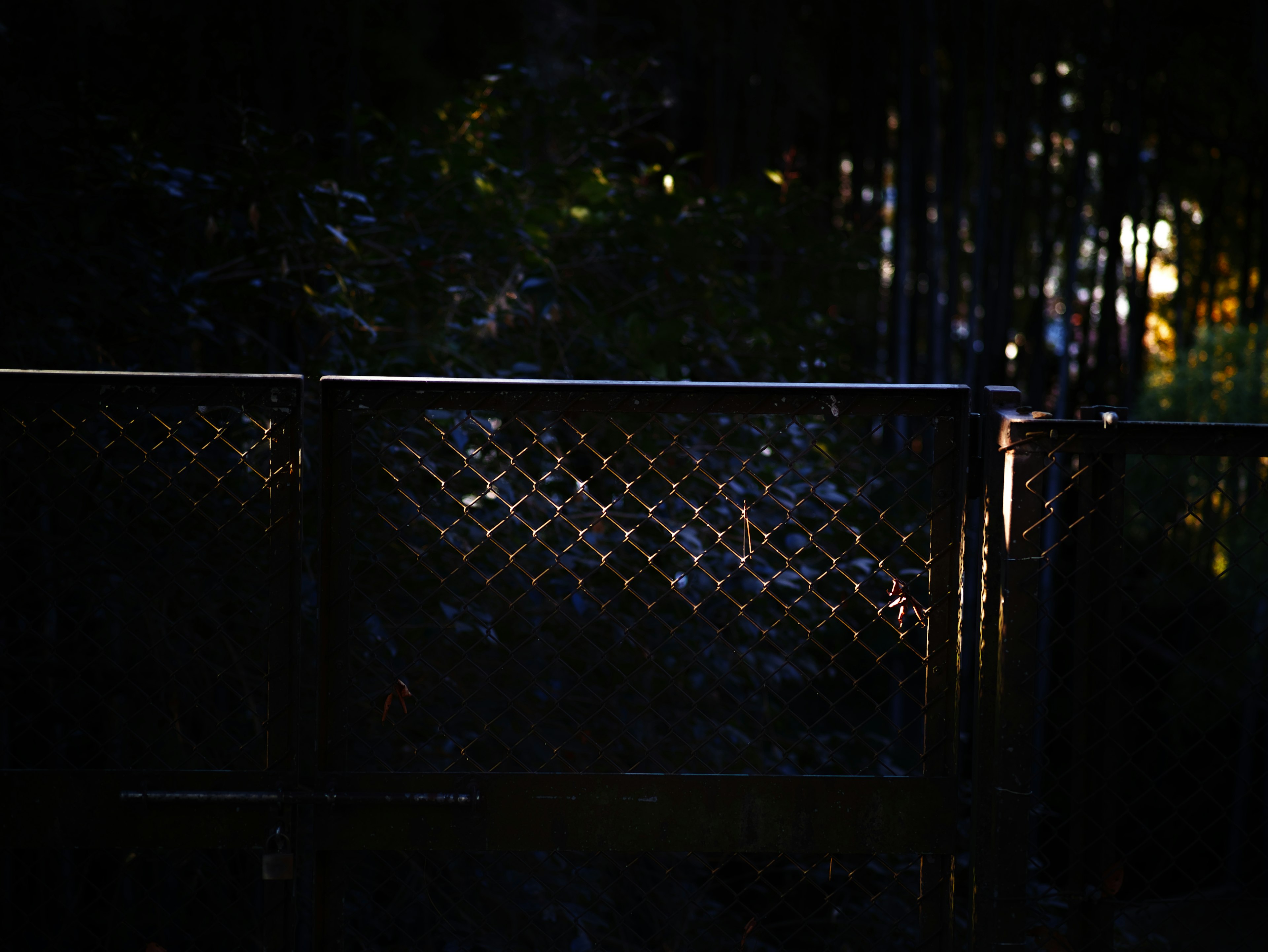 Metal fence glowing in a dark background