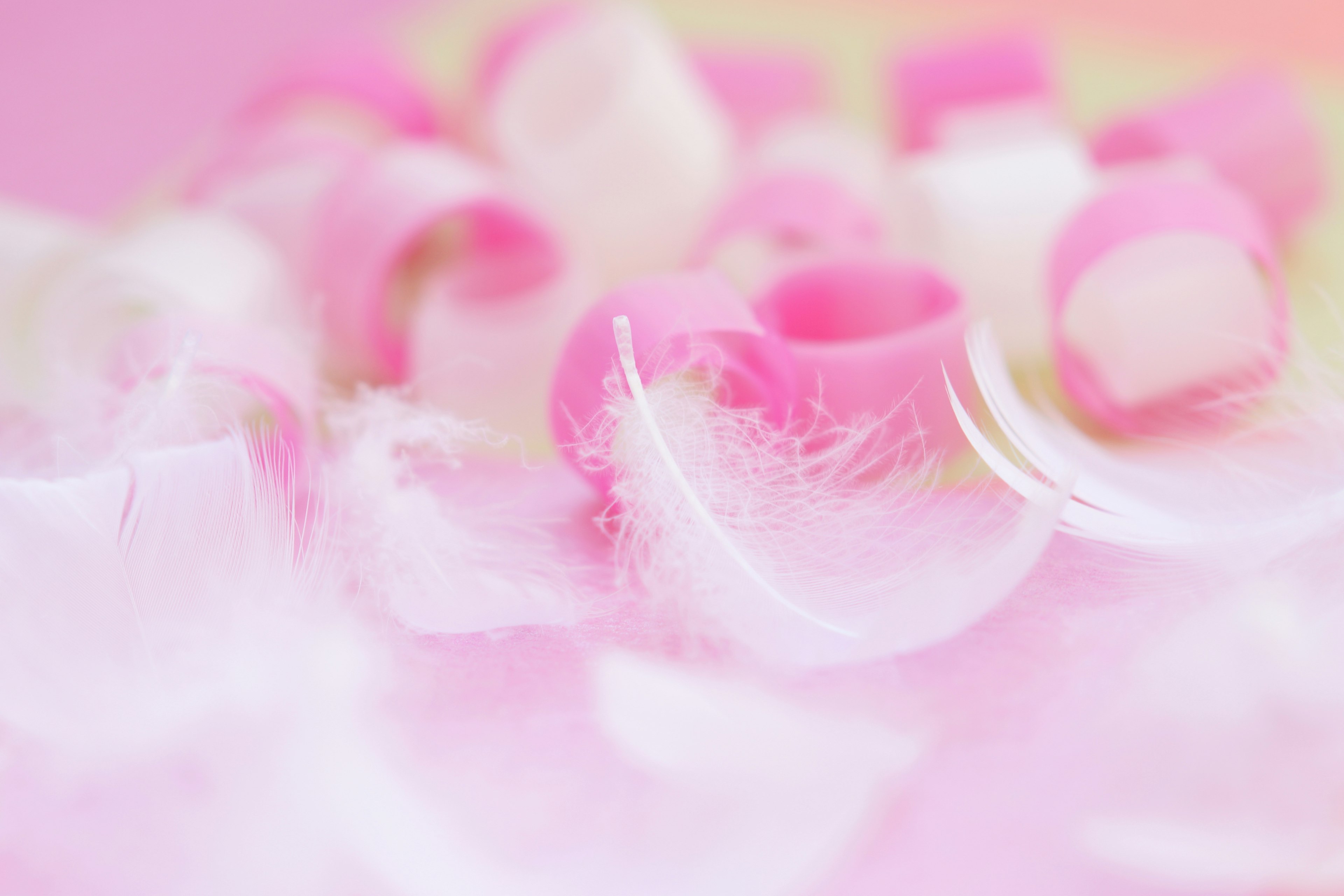 Close-up of delicate pink and white flower petals with soft textures and colors