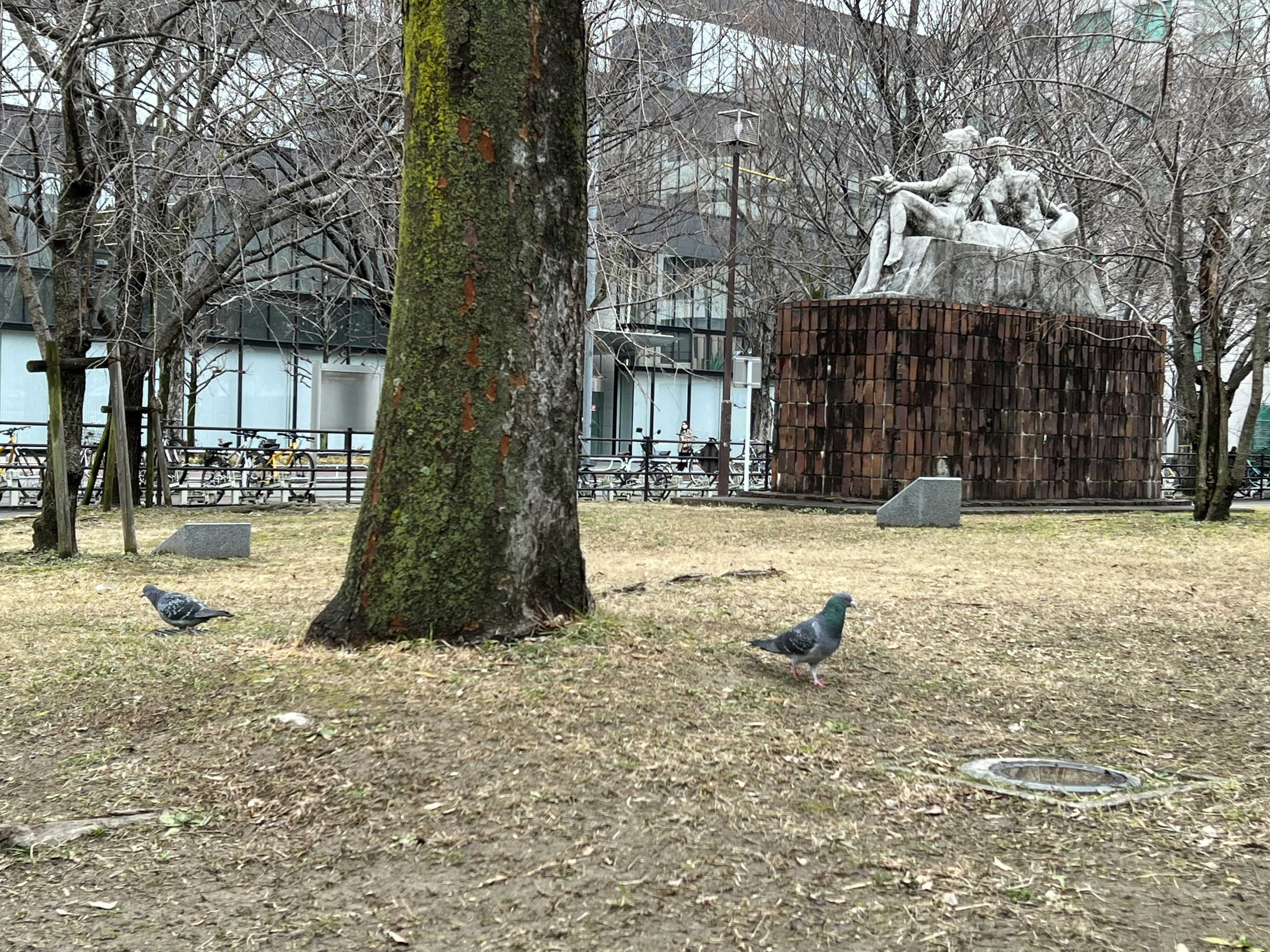 公園の木と彫刻の近くにいる鳩