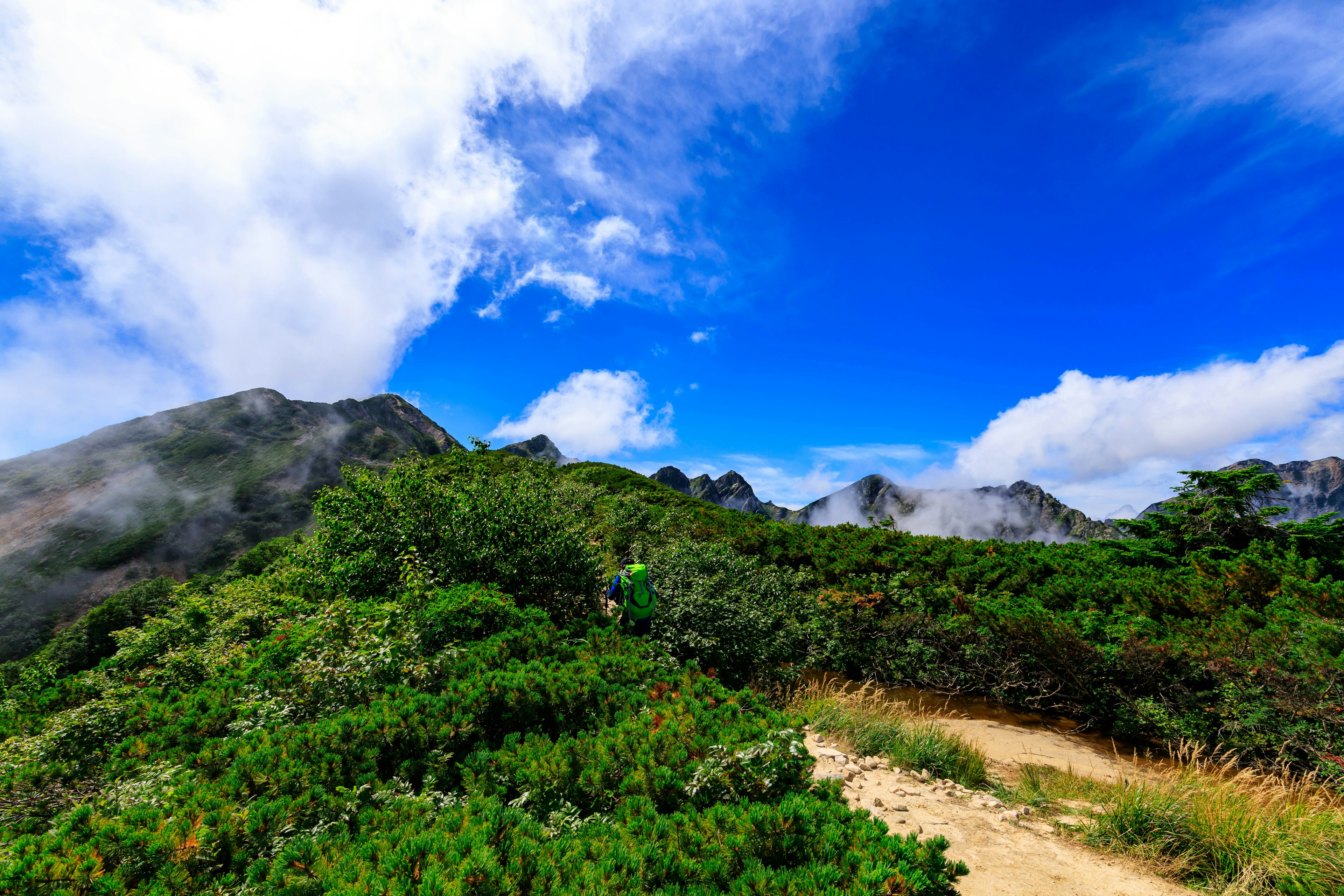 Jalur hiking yang indah dengan pepohonan hijau subur di bawah langit biru dan awan yang tersebar