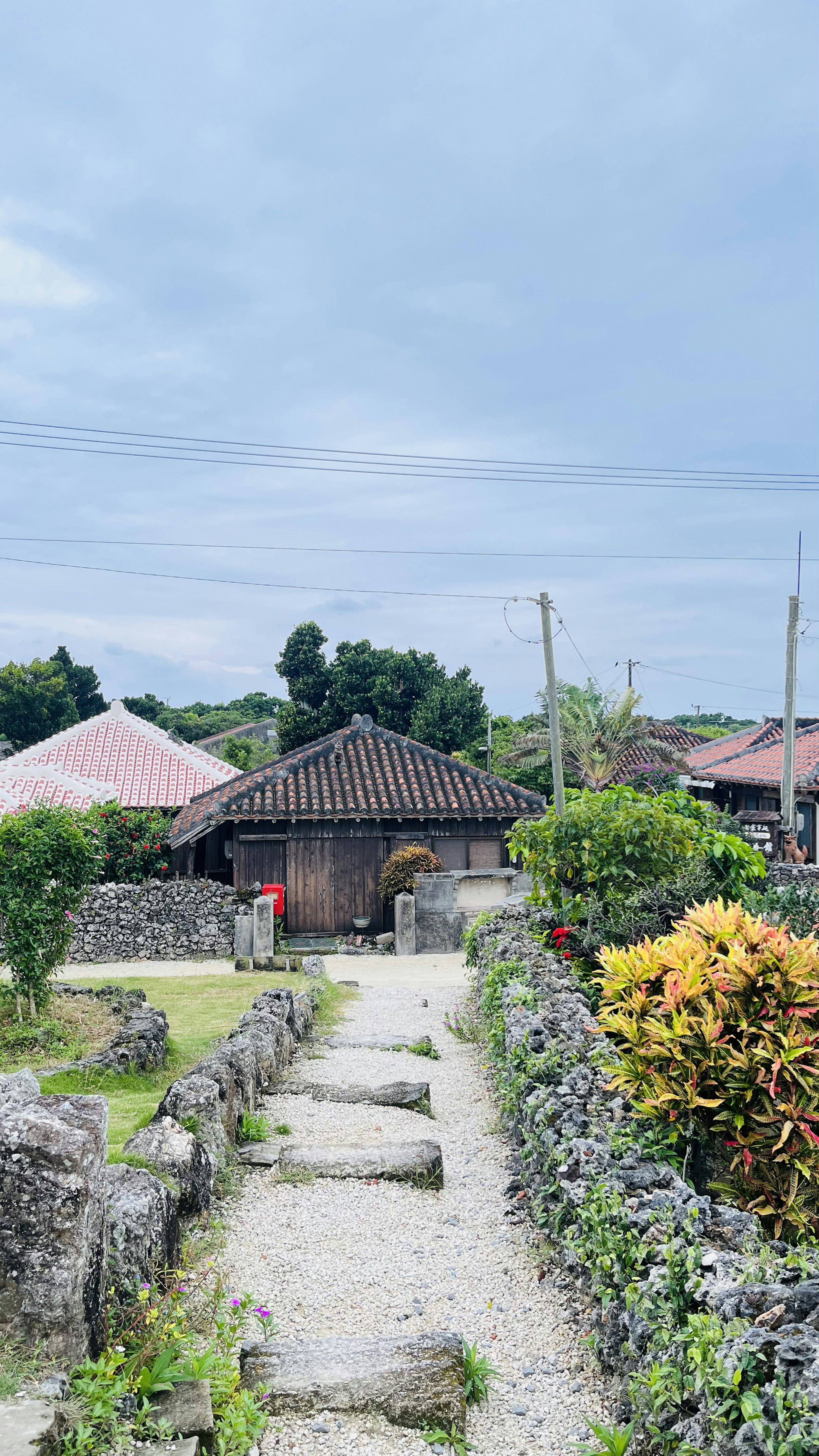 静かな村の風景 道の両側に家と緑の植栽が広がる