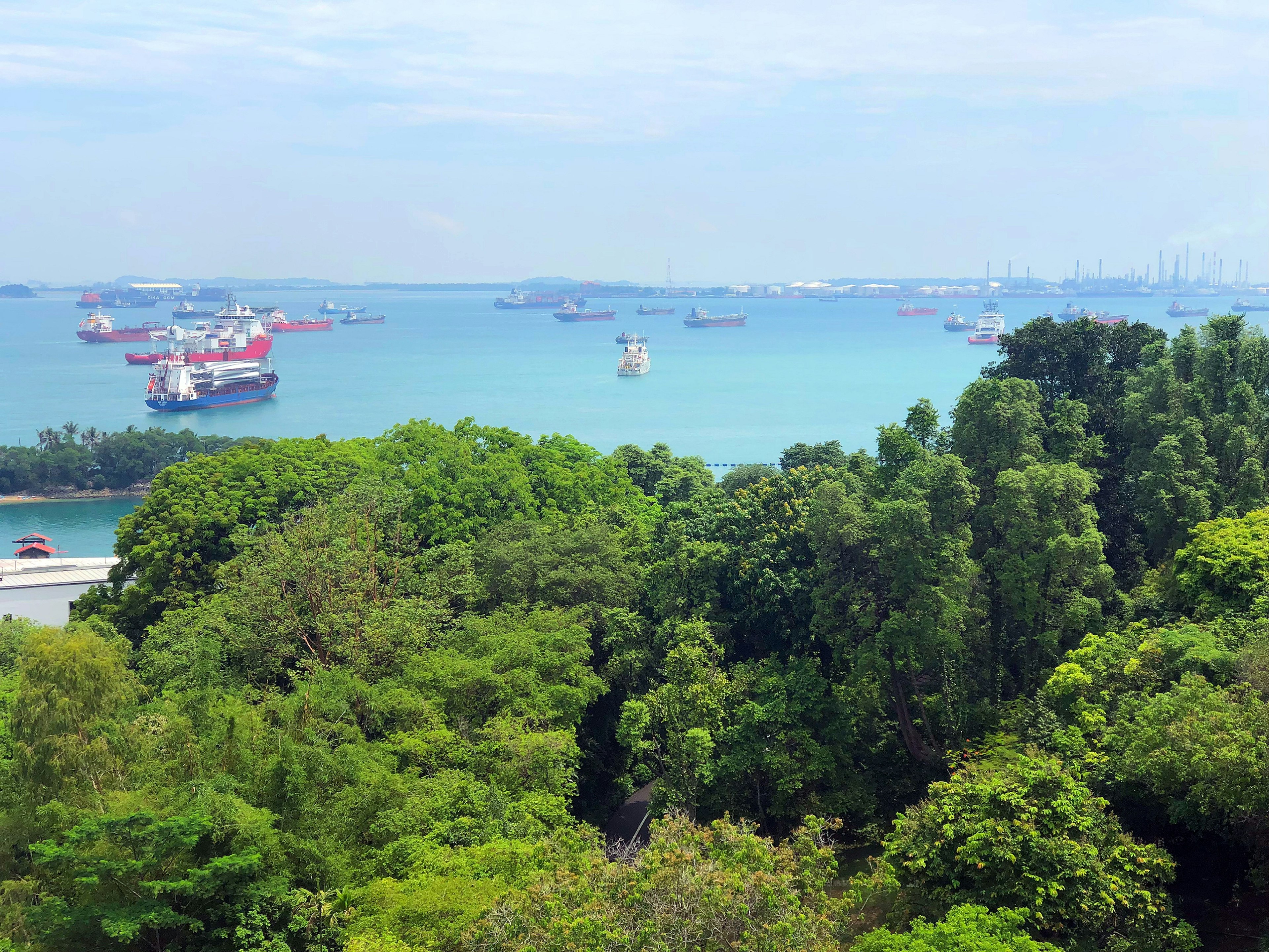 Vista panoramica di mare blu con vegetazione lussureggiante e molte navi ancorate