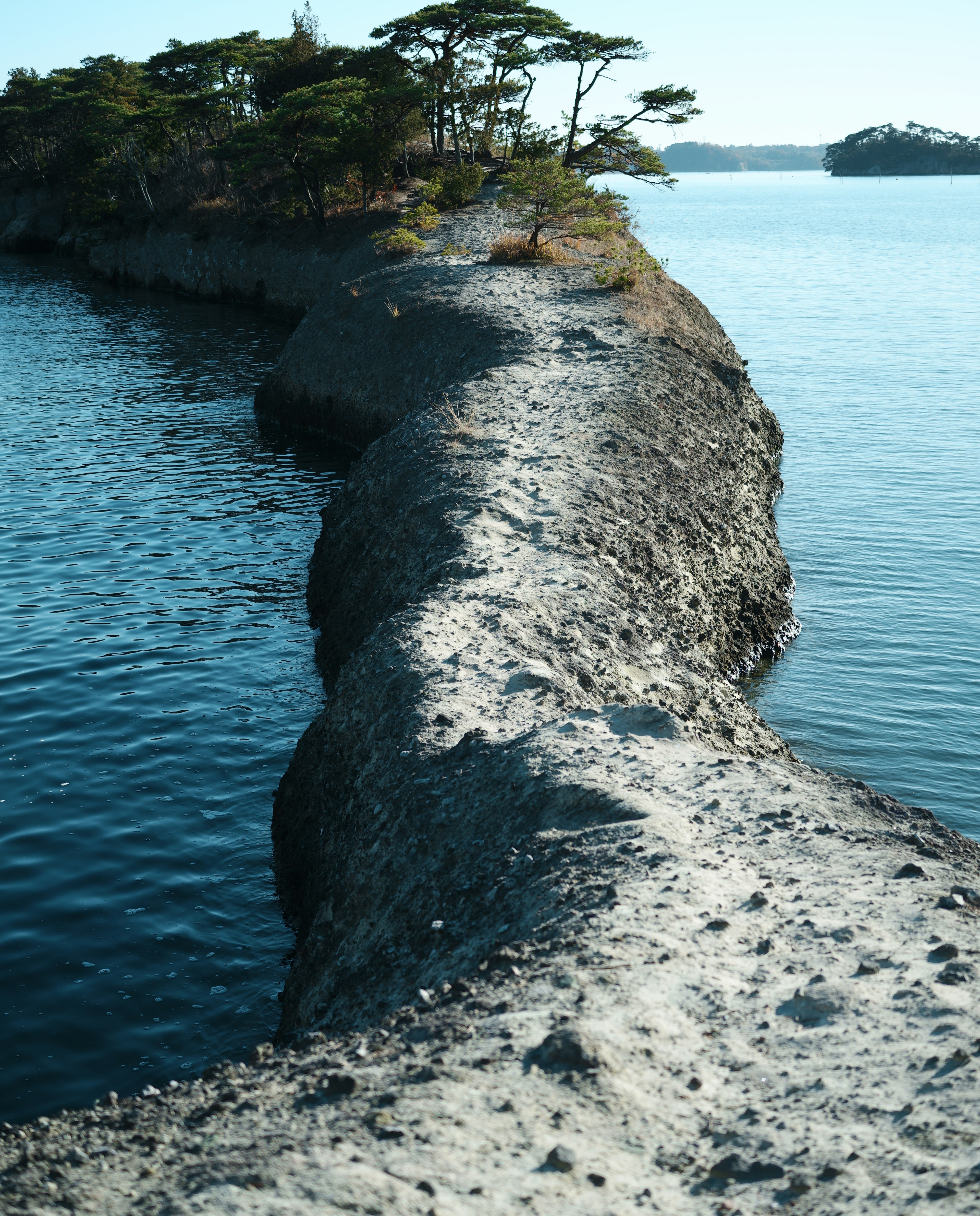 砂浜の道と静かな水面が見える風景