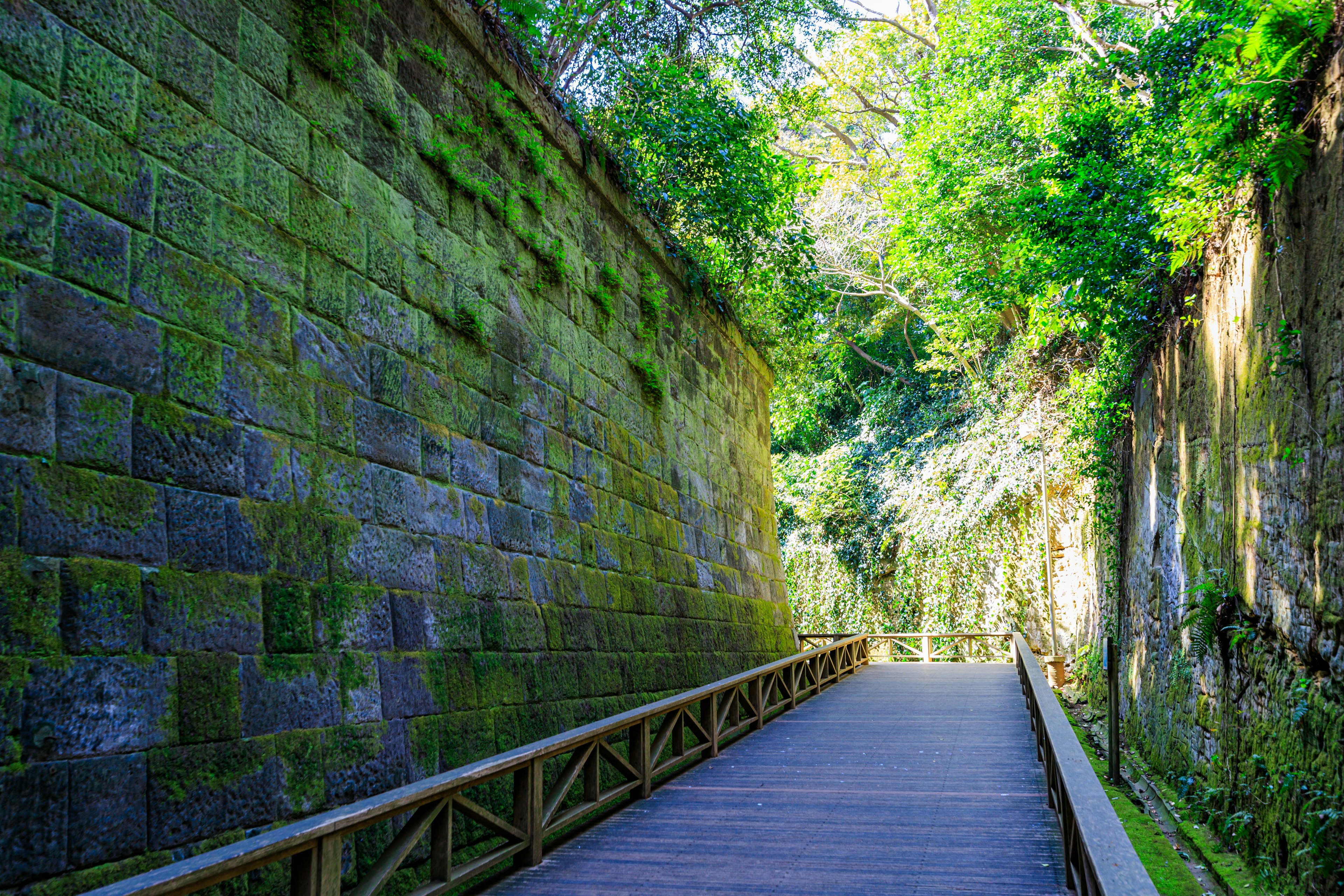 A serene pathway featuring moss-covered stone walls and a wooden boardwalk