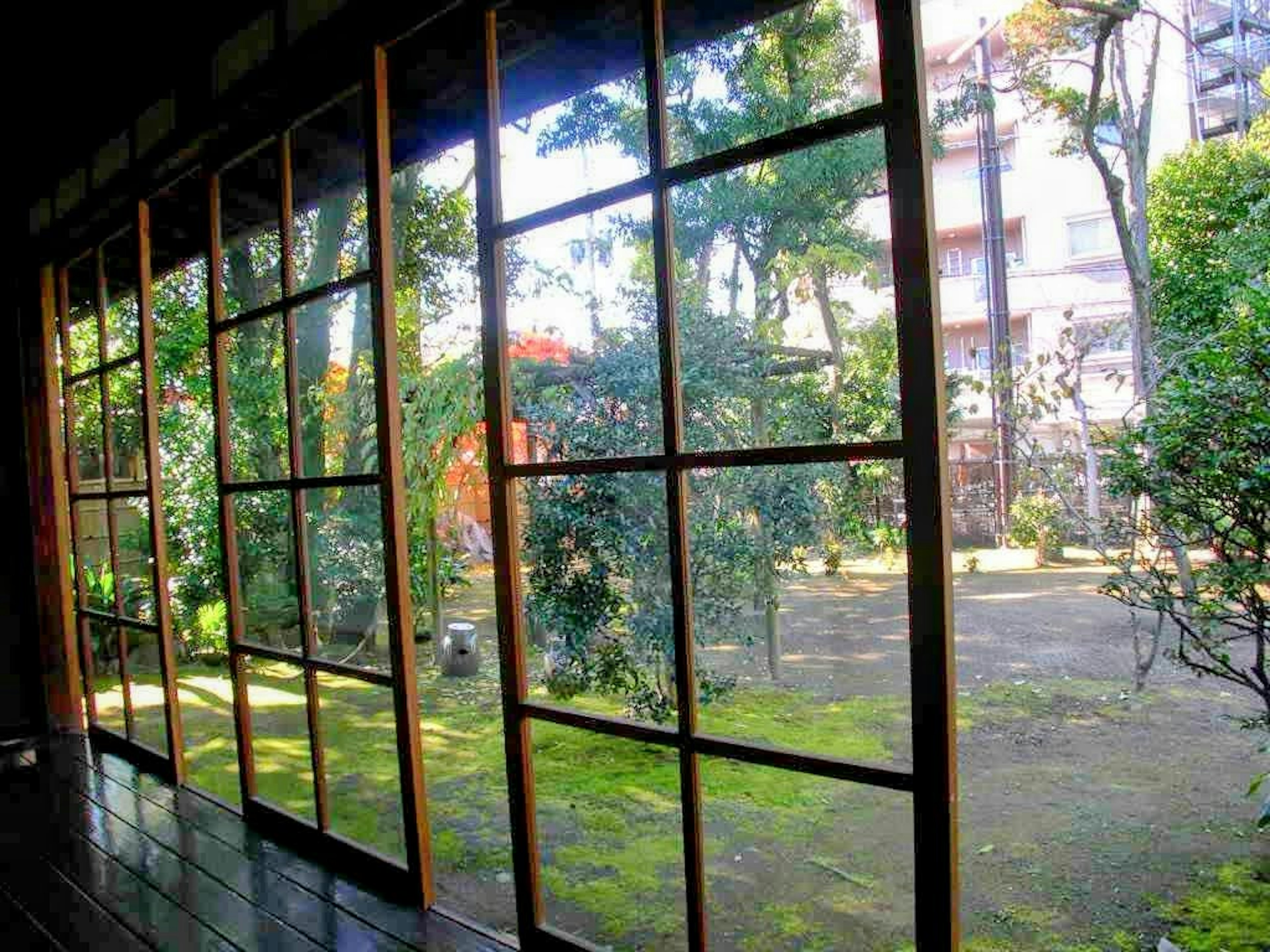 Vue d'un jardin japonais à travers des fenêtres en bois avec une végétation luxuriante et une atmosphère sereine