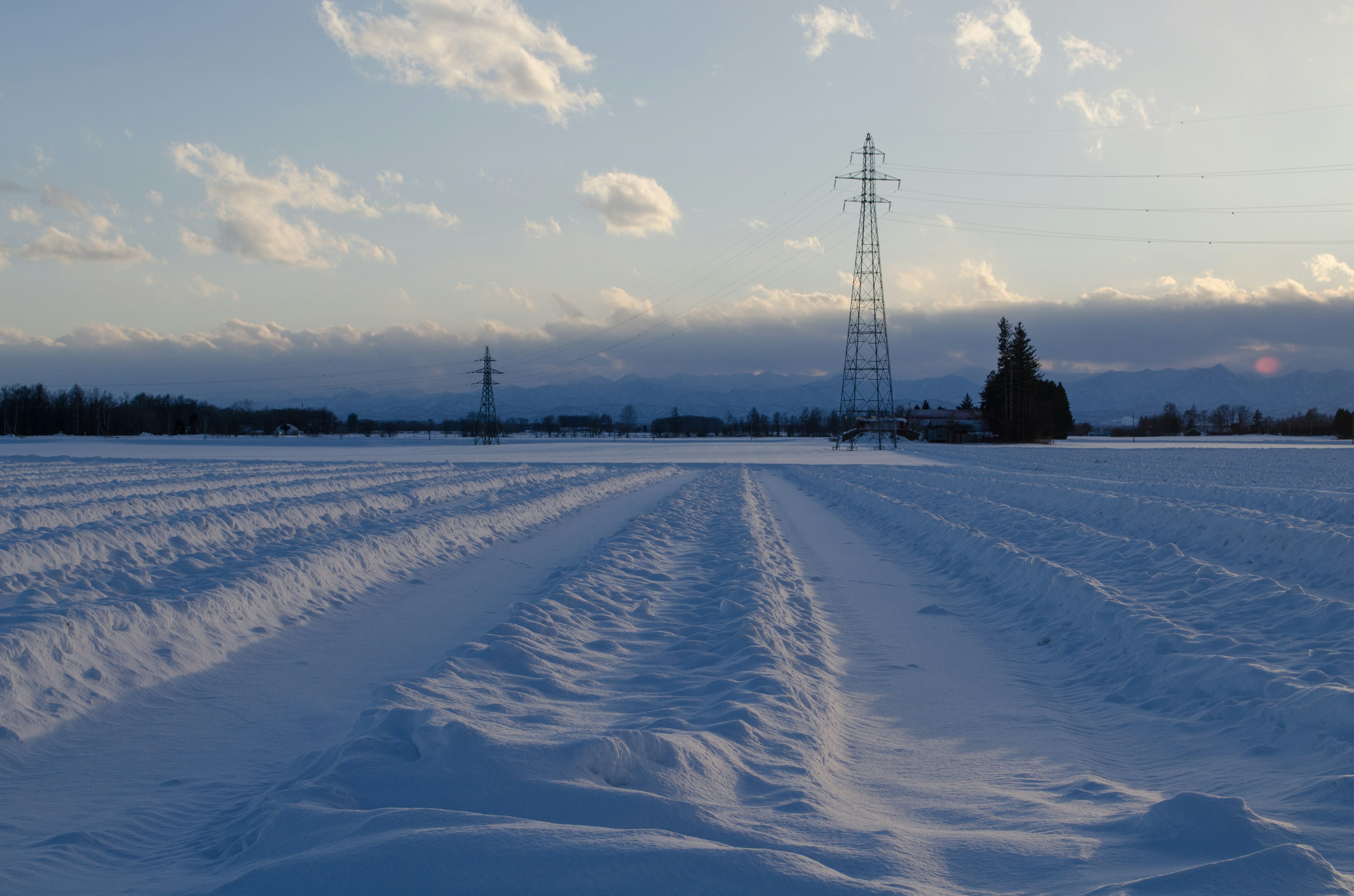 Paesaggio innevato con linee elettriche sotto un cielo crepuscolare