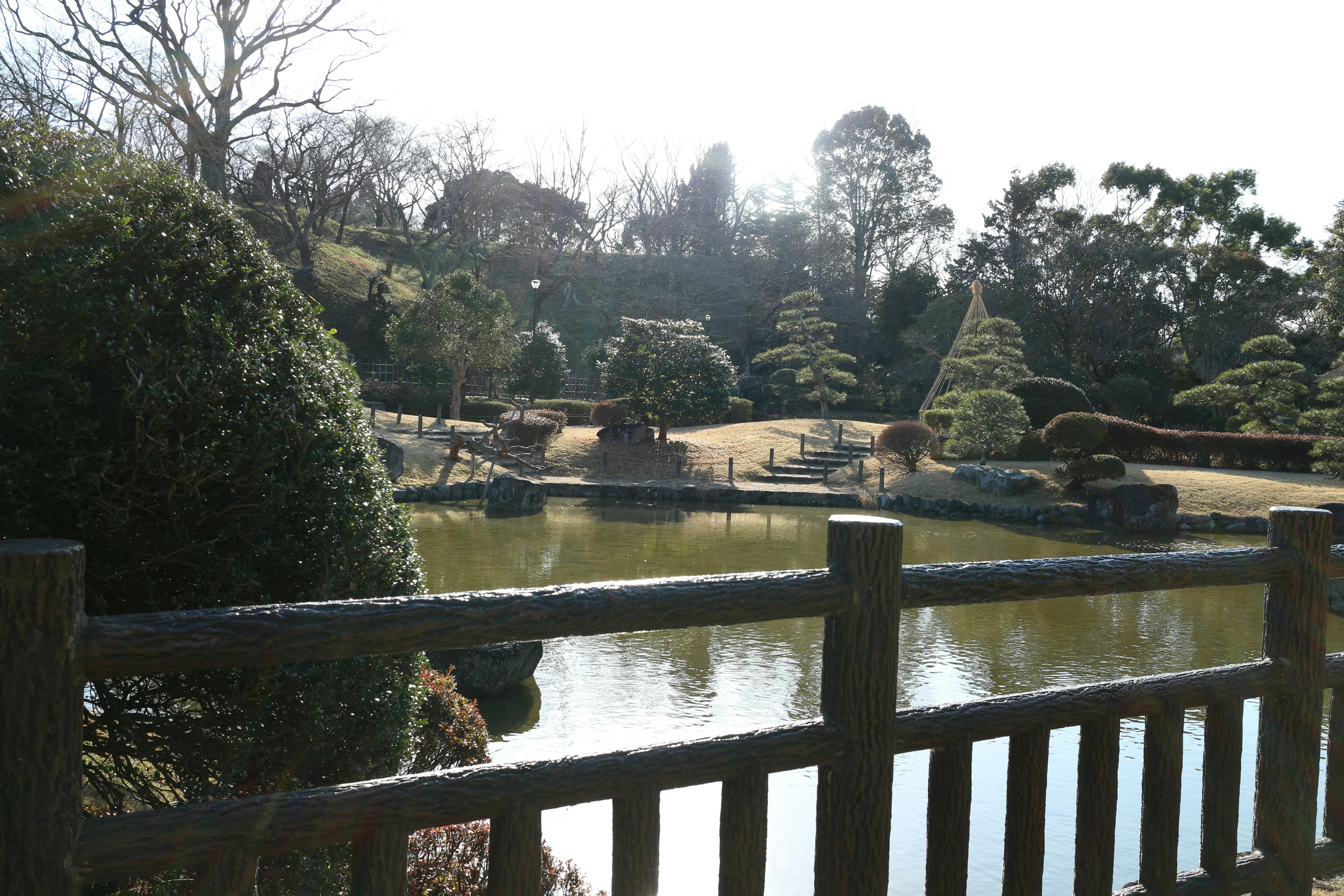 宁静的日本花园景观，有池塘和树木