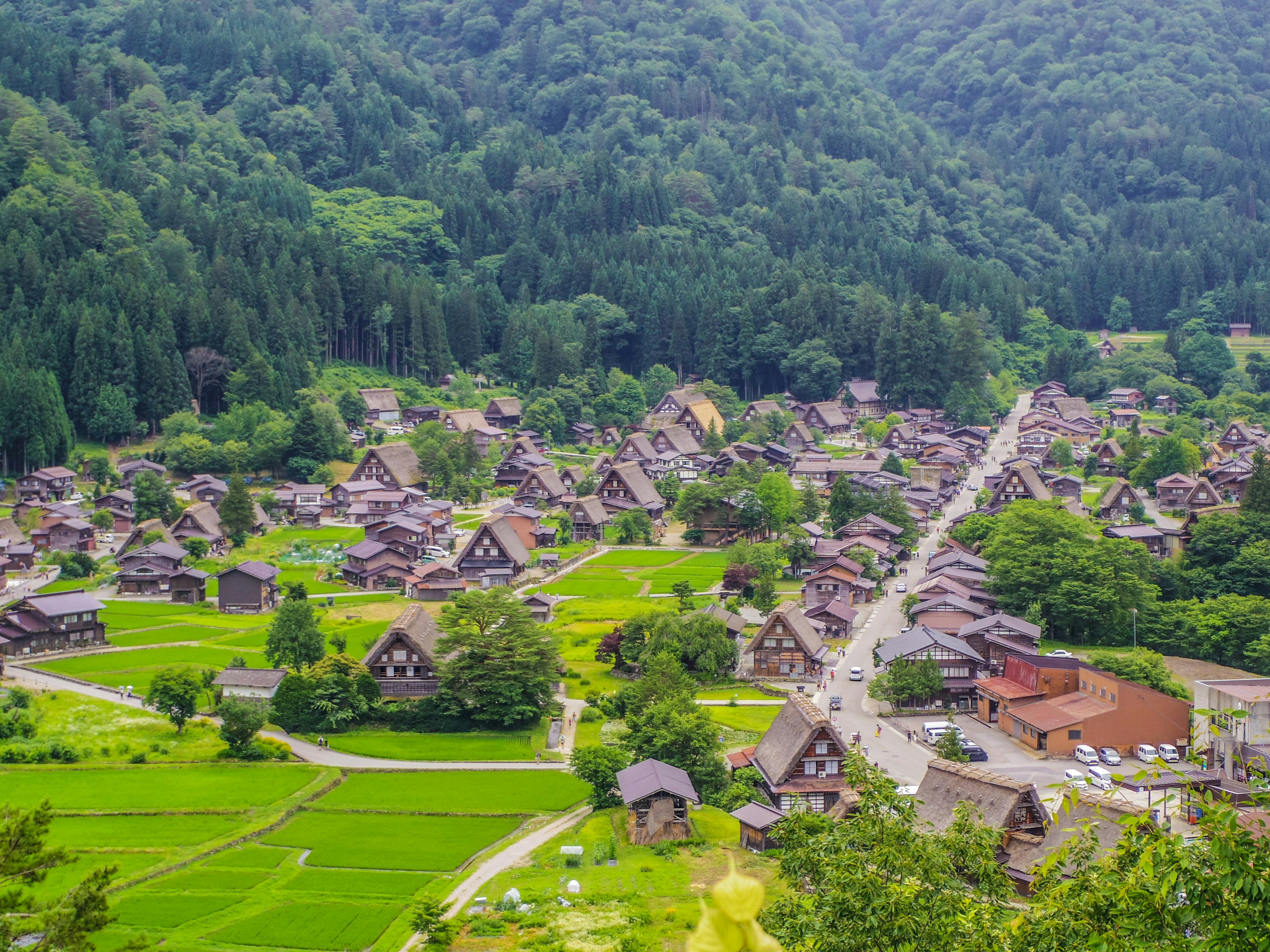 Village traditionnel gassho-zukuri entouré de montagnes et de rizières verdoyantes