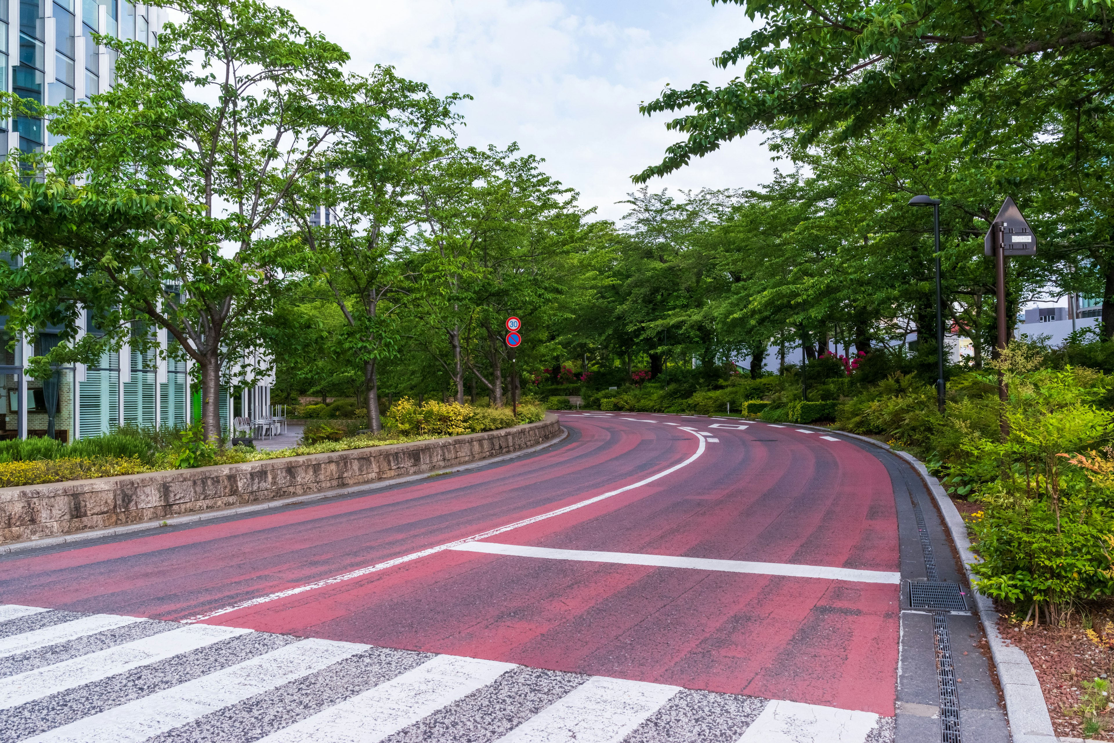 Jalan melengkung dikelilingi pepohonan hijau dengan zebra cross