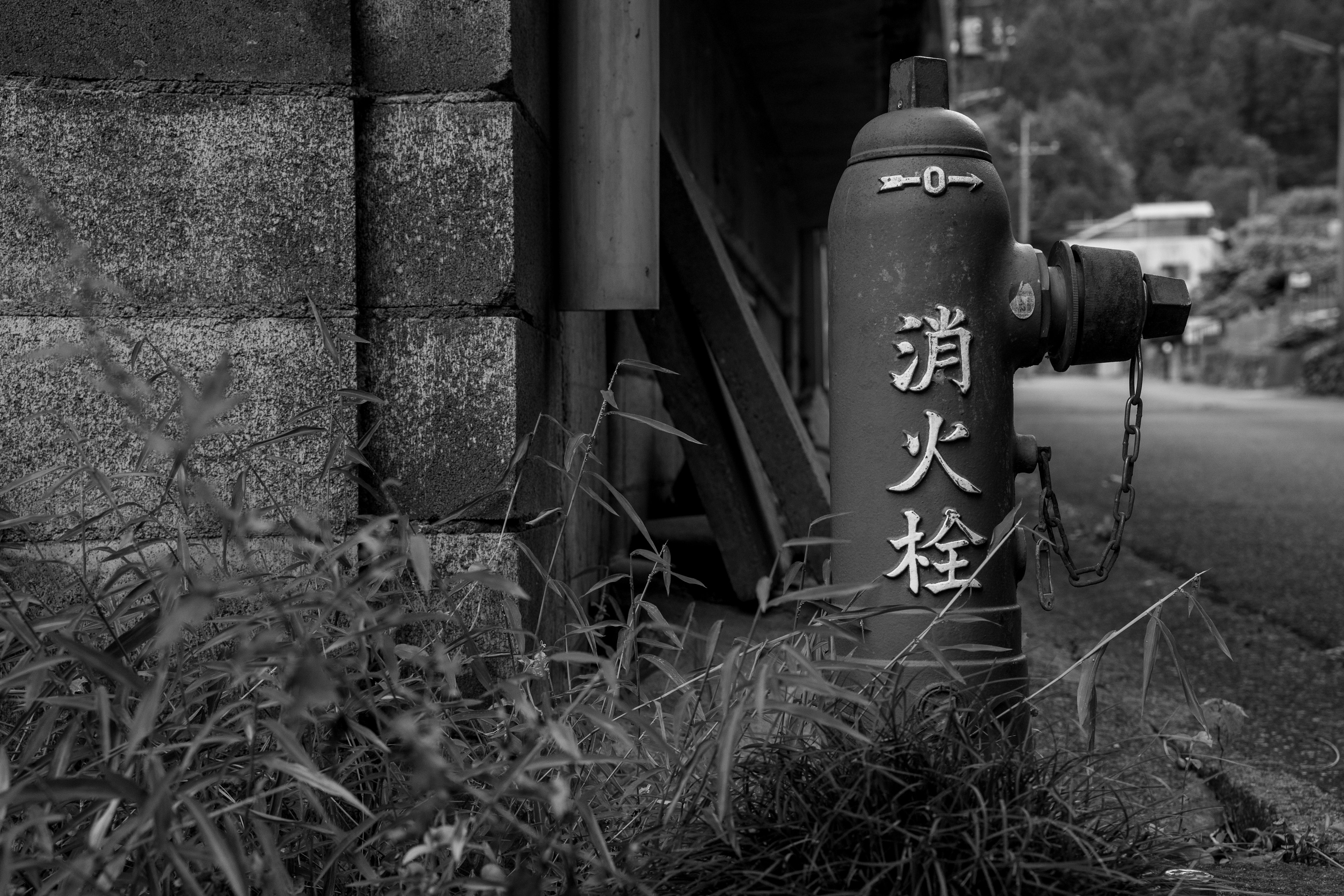 Red fire hydrant standing among grass