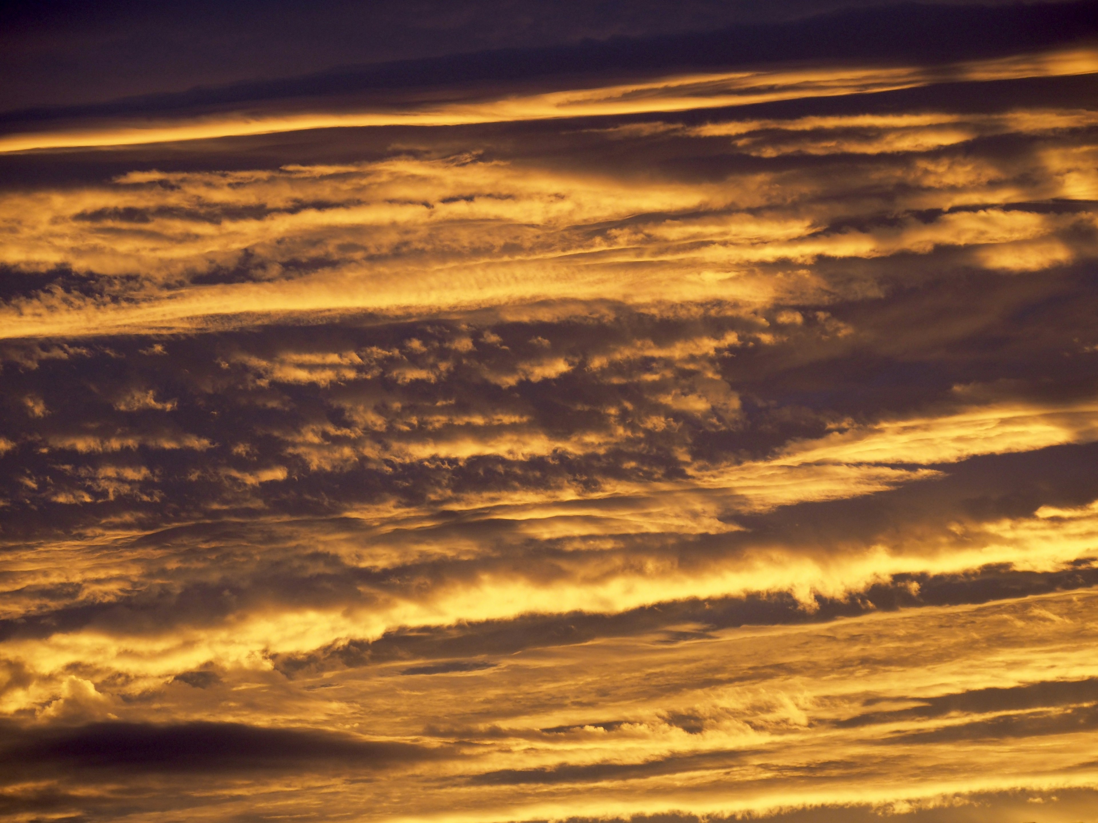 Golden clouds spread across the sky