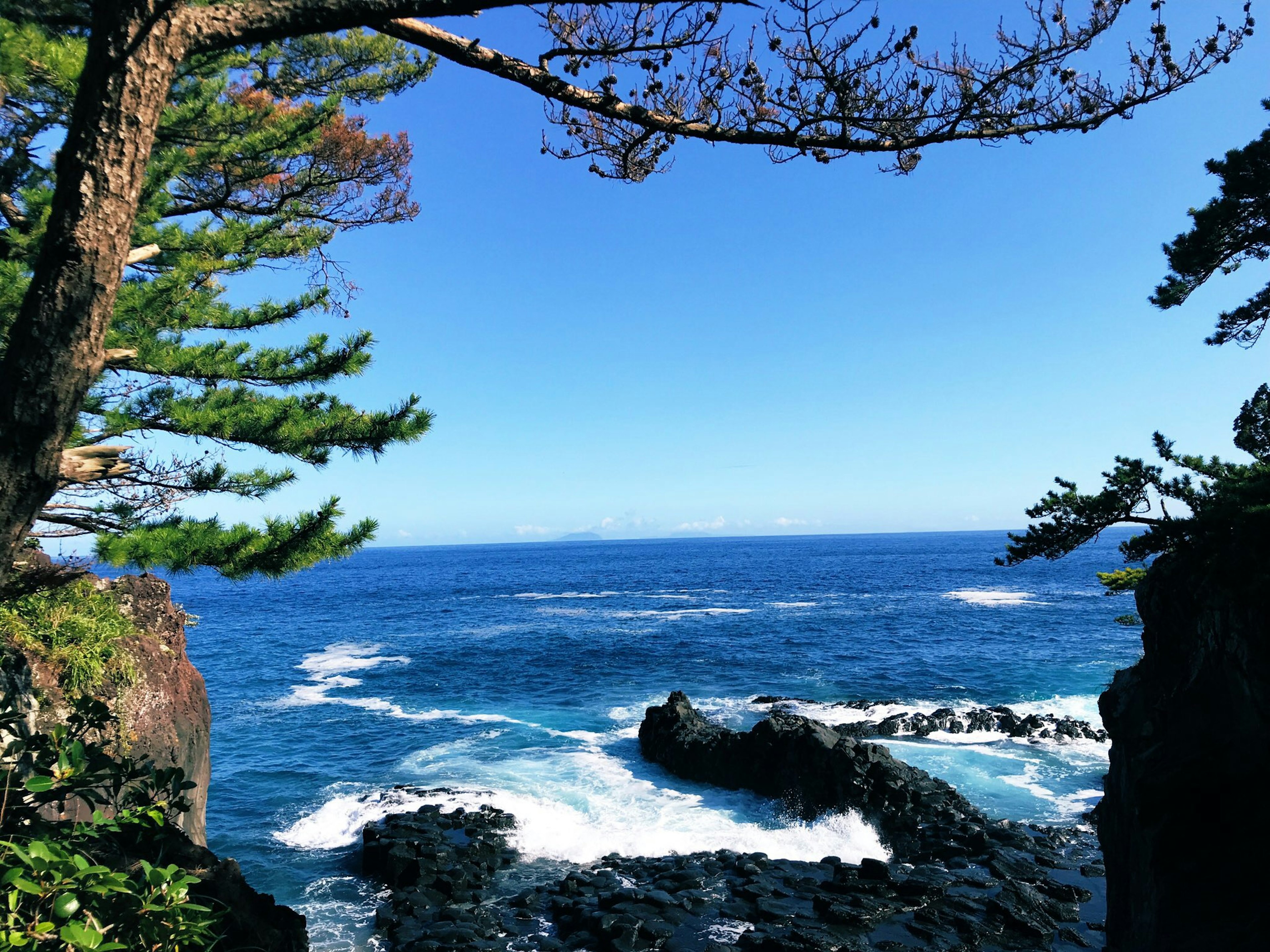 蓝色海洋和岩石海岸的风景，树木环绕