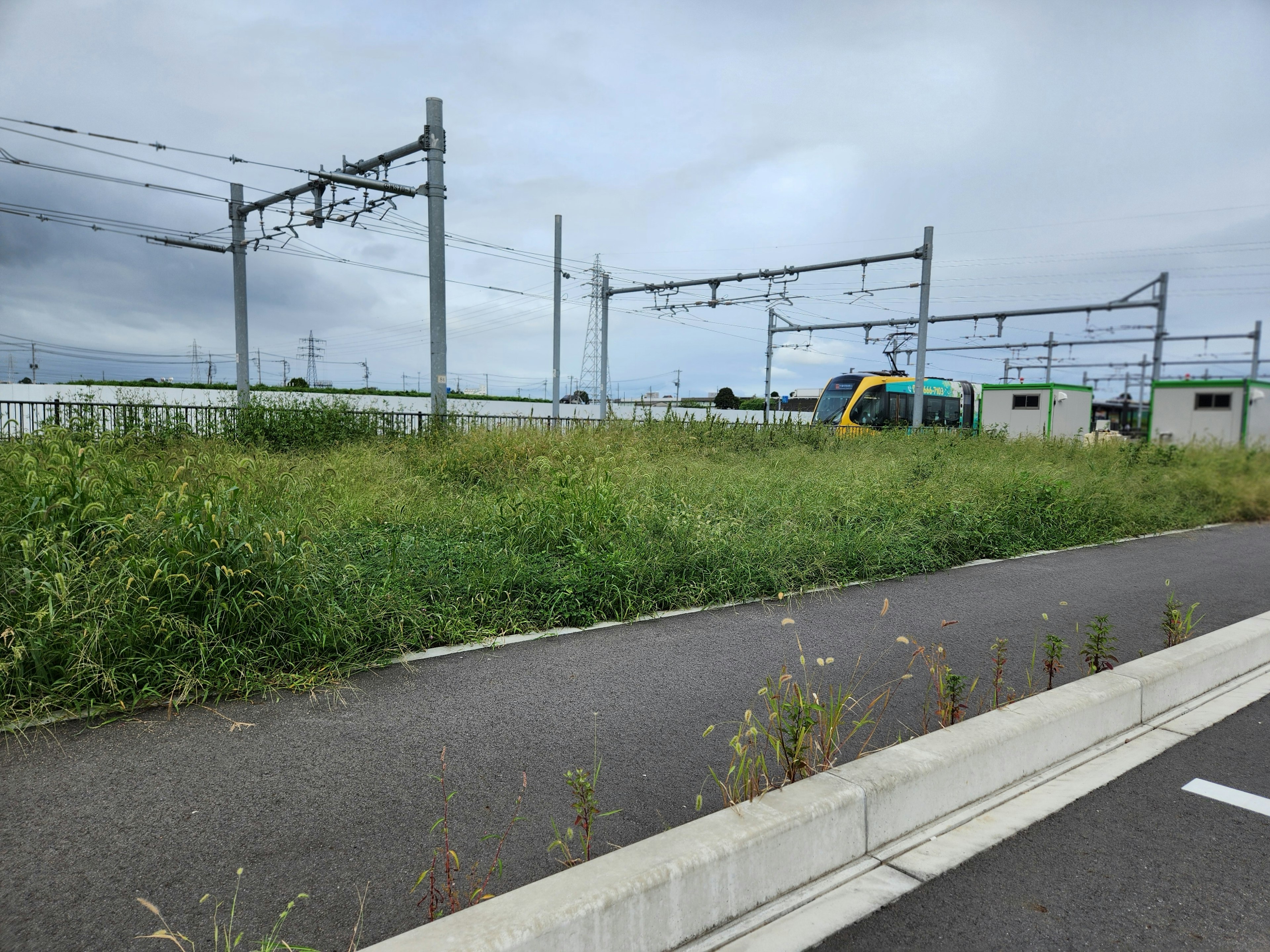 草が生い茂る鉄道の脇にある道と鉄道の架線