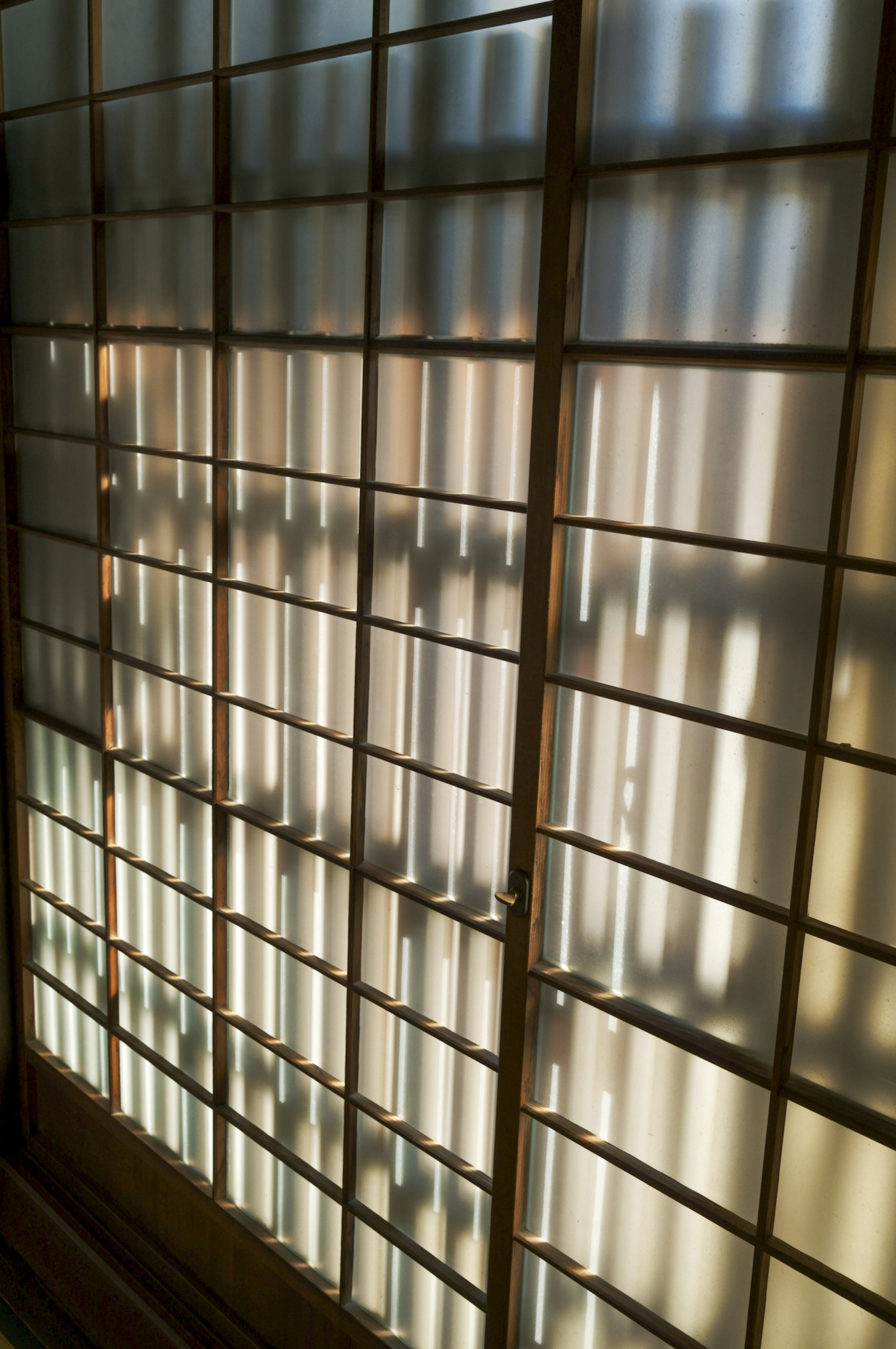 Light streaming through shoji screens casting intricate shadows