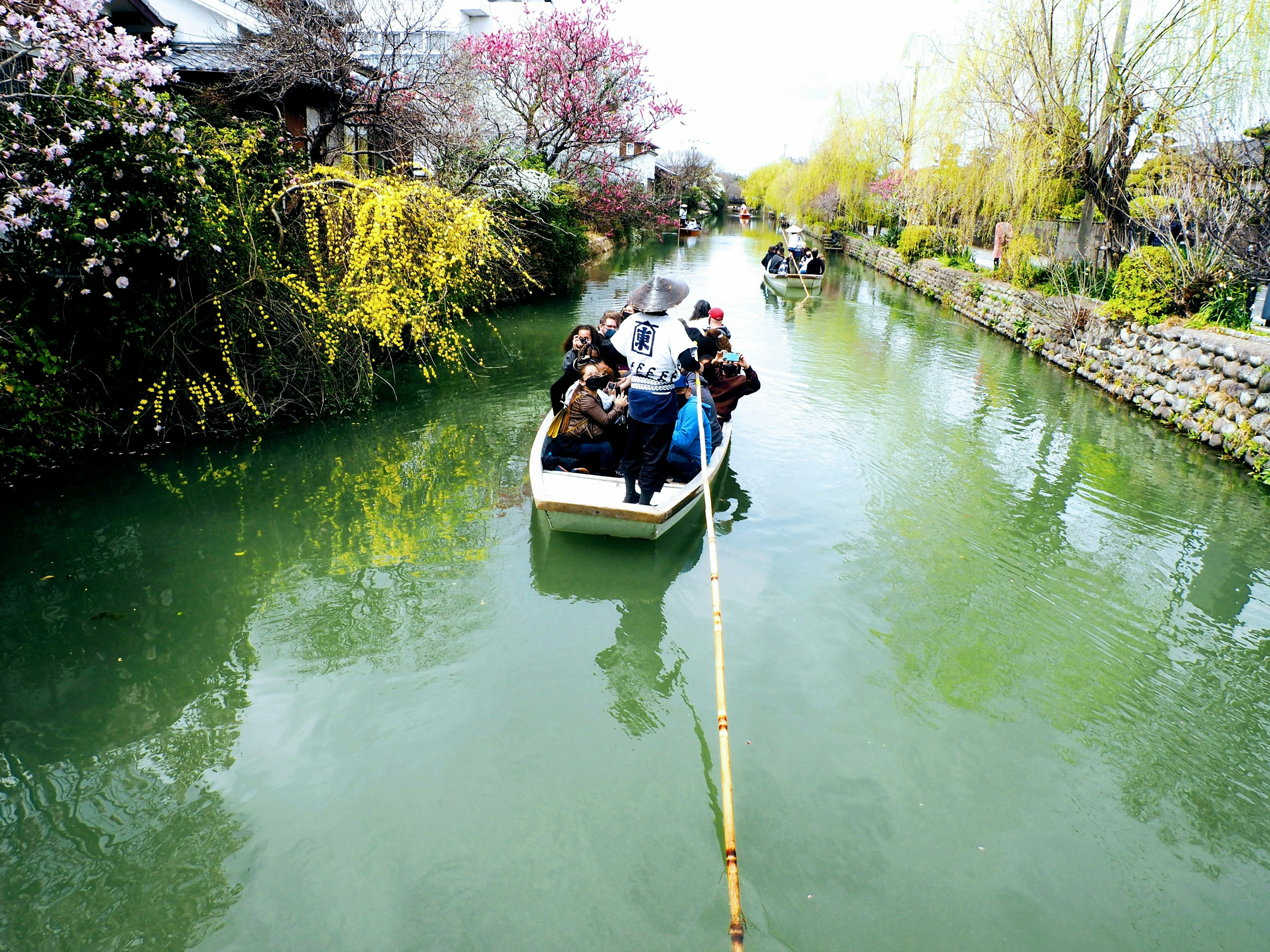 Une petite barque glissant sur une rivière verte entourée de fleurs en fleurs