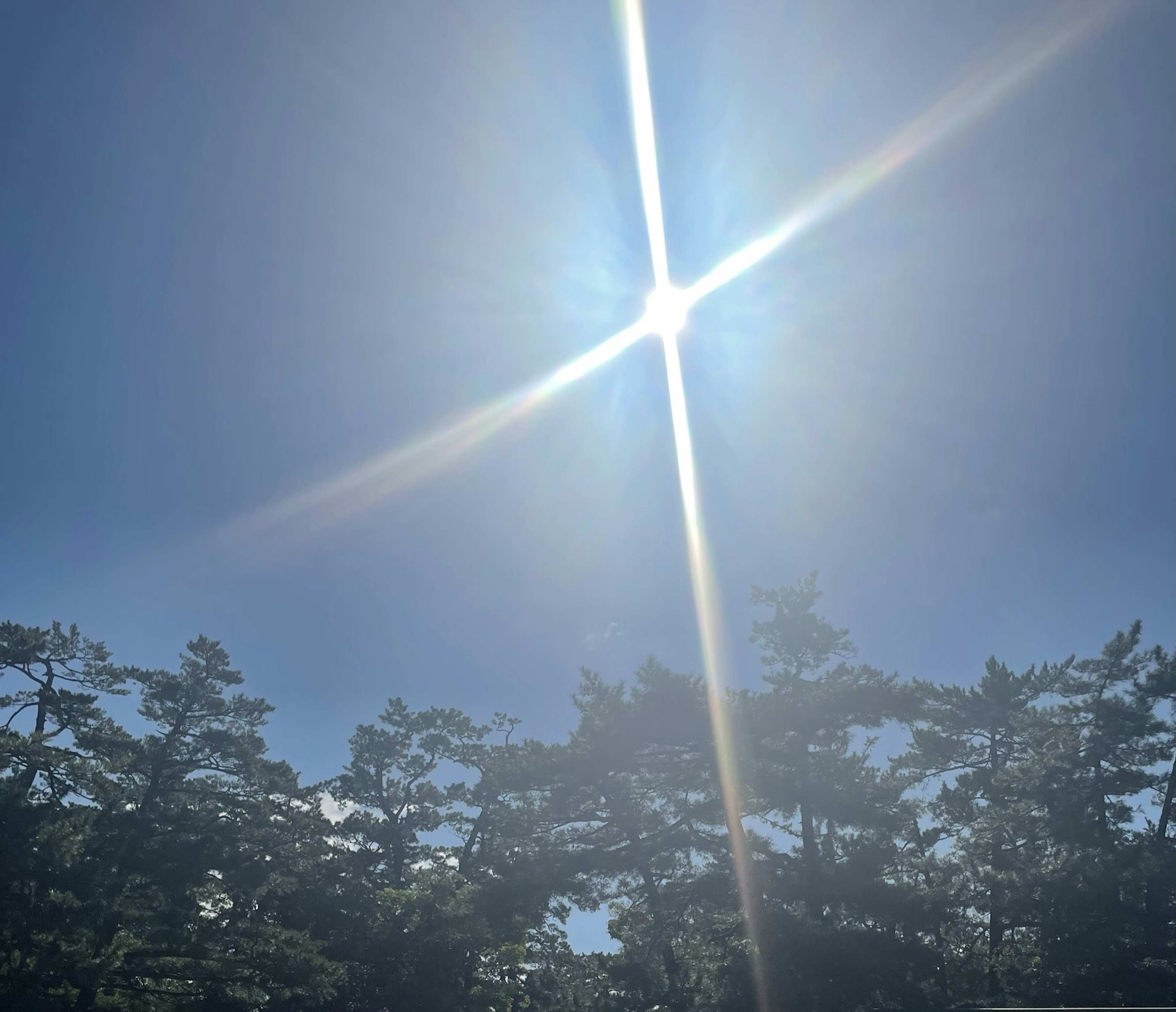 Sole luminoso nel cielo blu con alberi circostanti