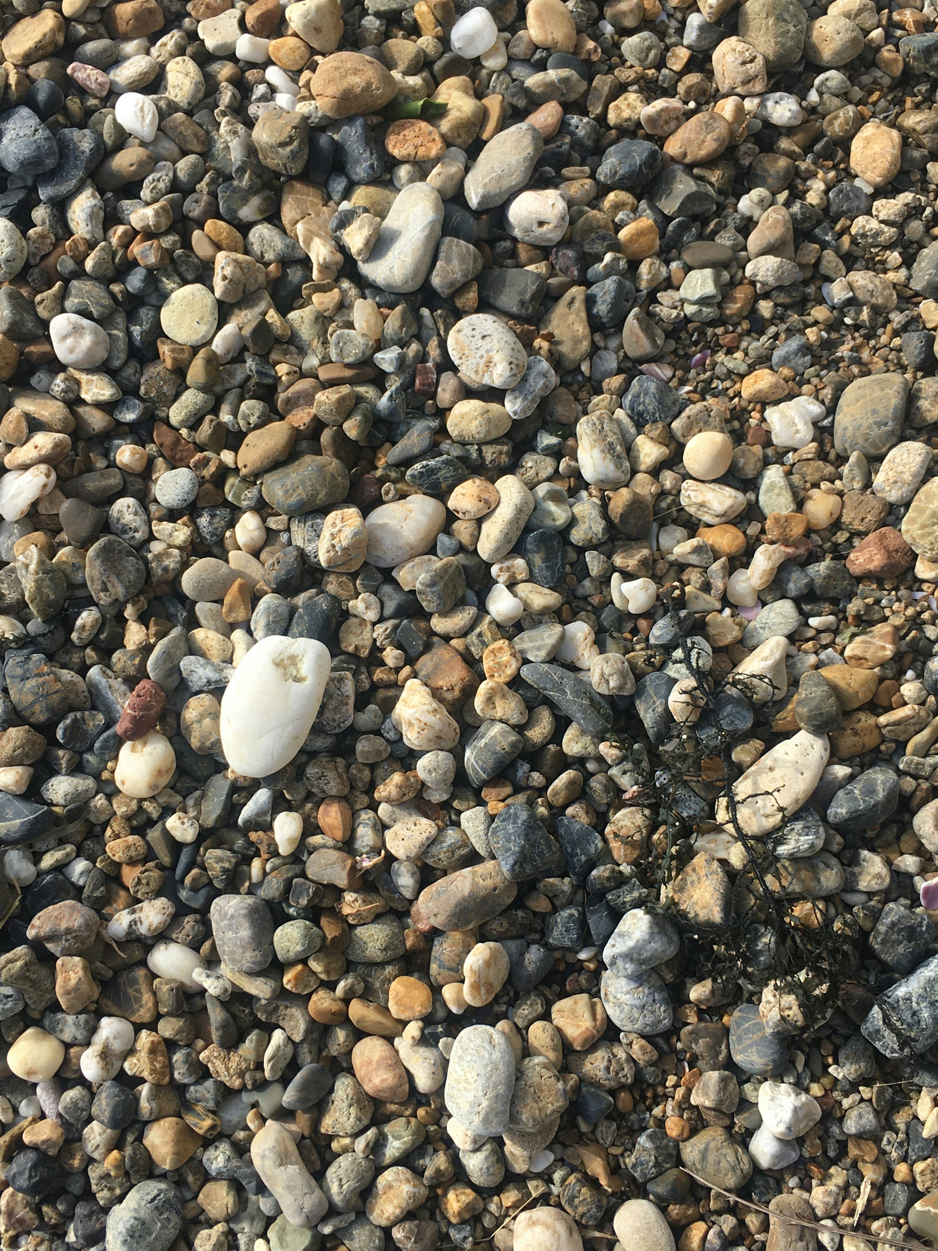 Close-up of small stones and pebbles scattered on gravel