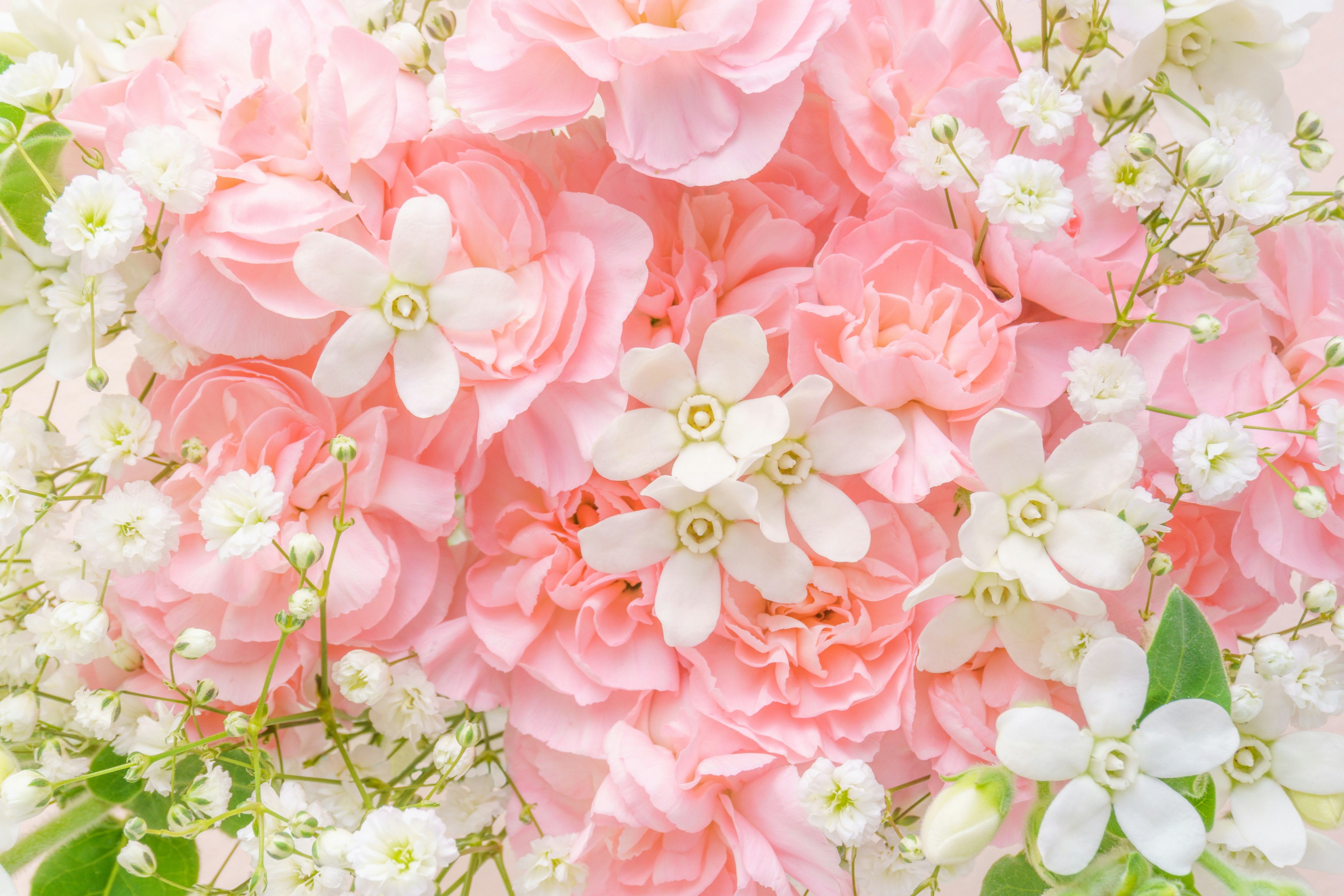 Arrangement de roses roses et de petites fleurs blanches