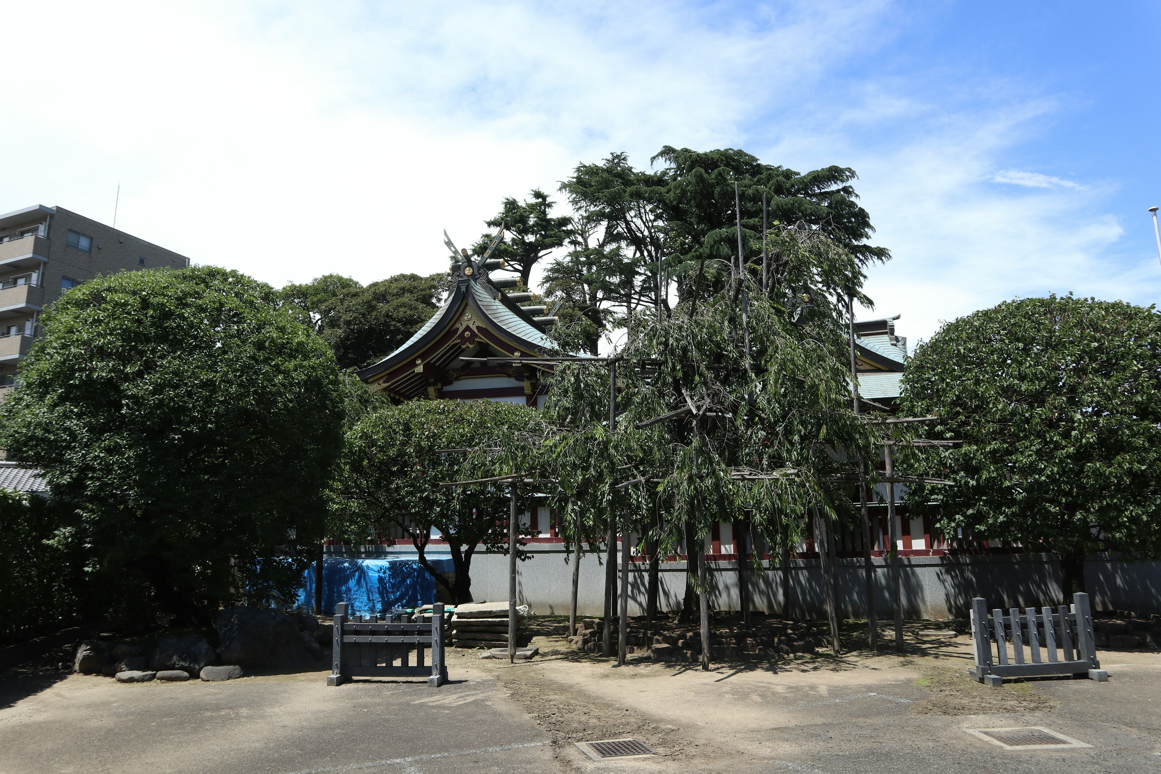 A landscape of a Japanese shrine surrounded by lush greenery