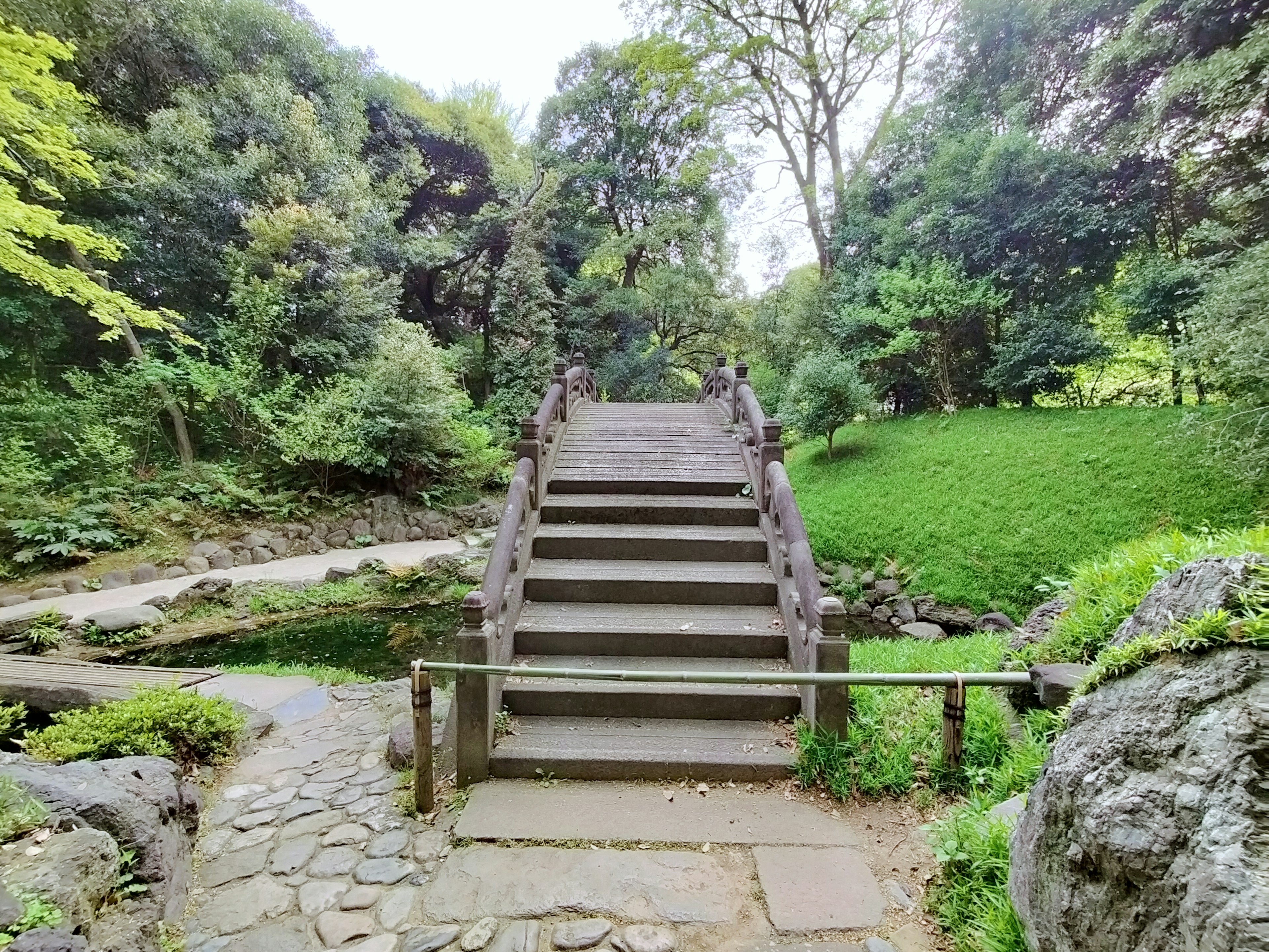 Vista escénica de un puente de piedra y escalones rodeados de vegetación