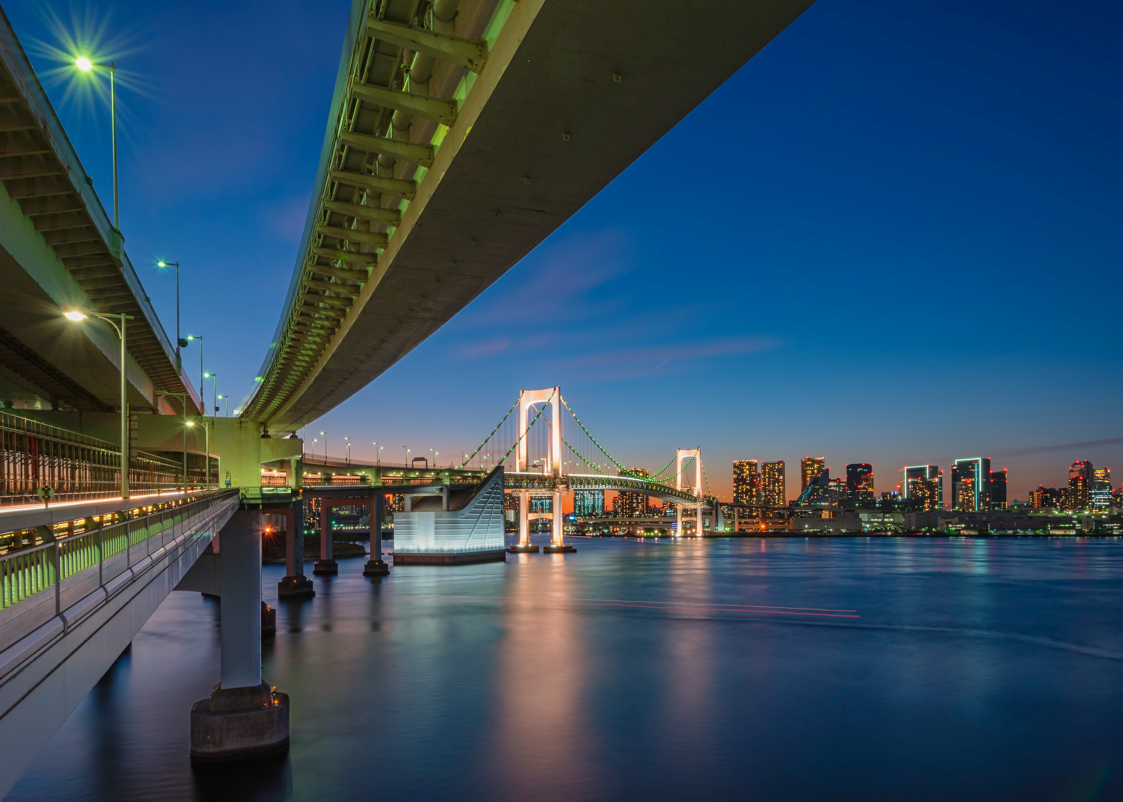 レインボーブリッジと東京の夜景が映る海の下からの視点