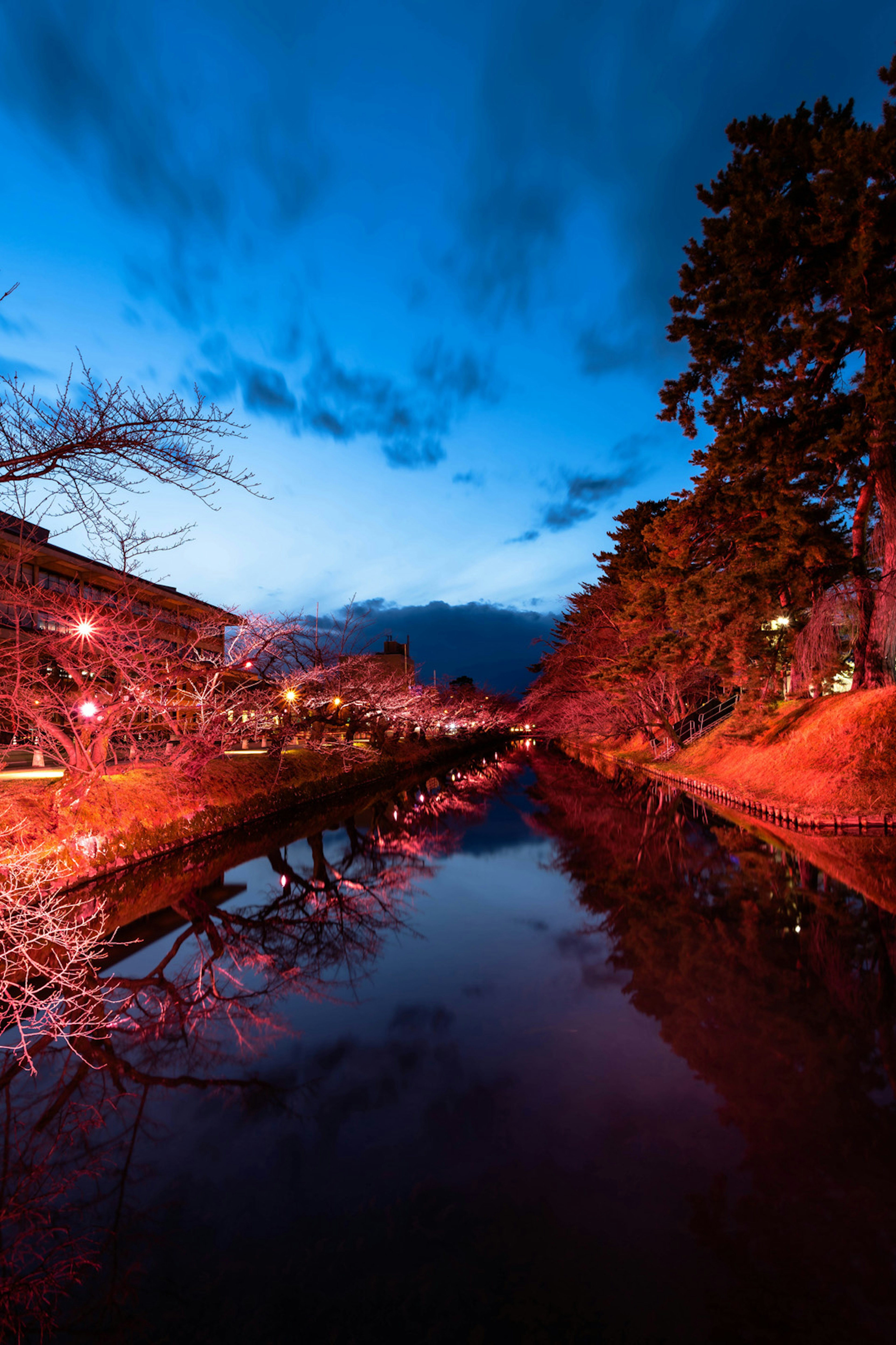 Beautiful landscape of cherry trees and blue sky reflected in the river at night