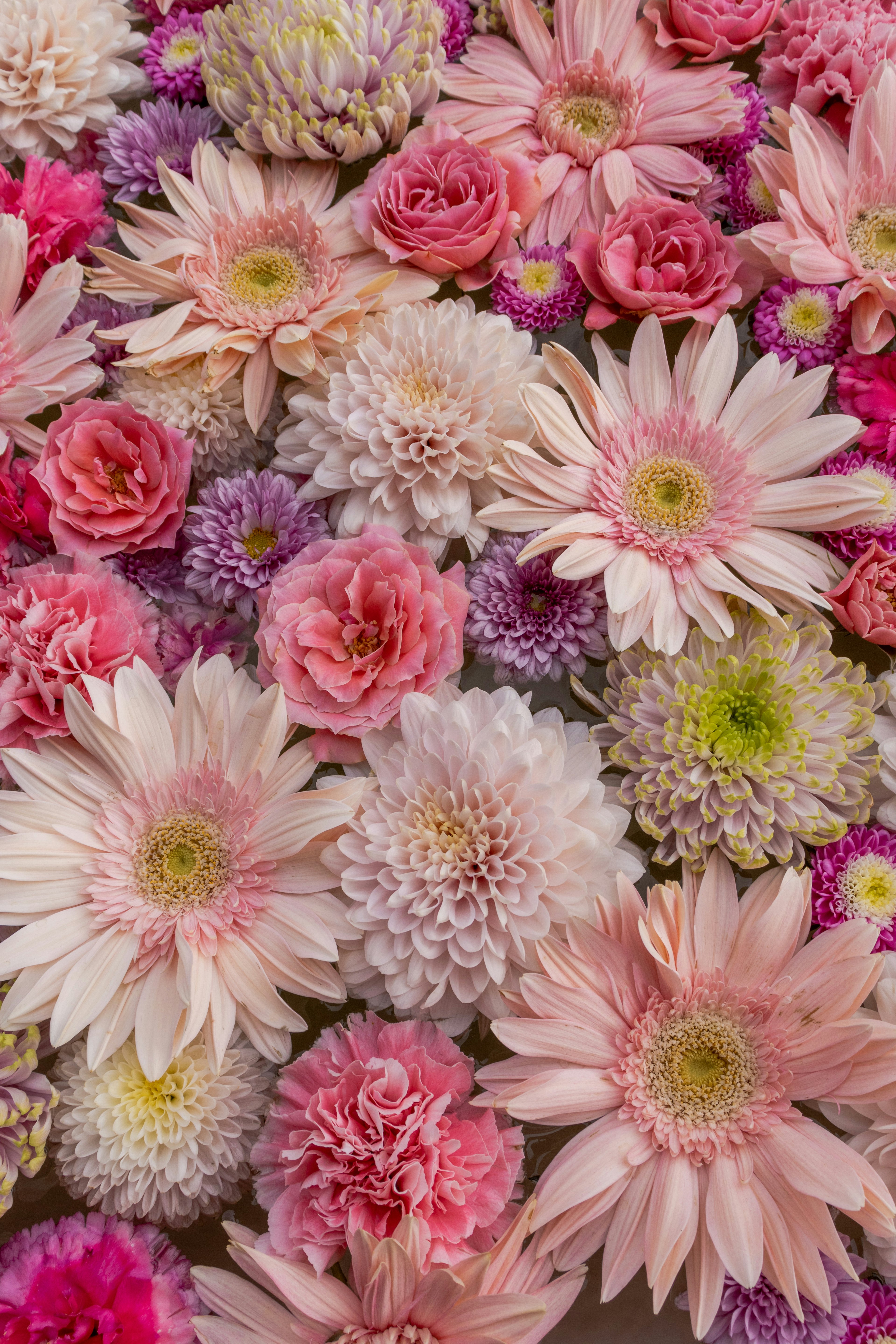 Beautiful bouquet of pink and white flowers in various types