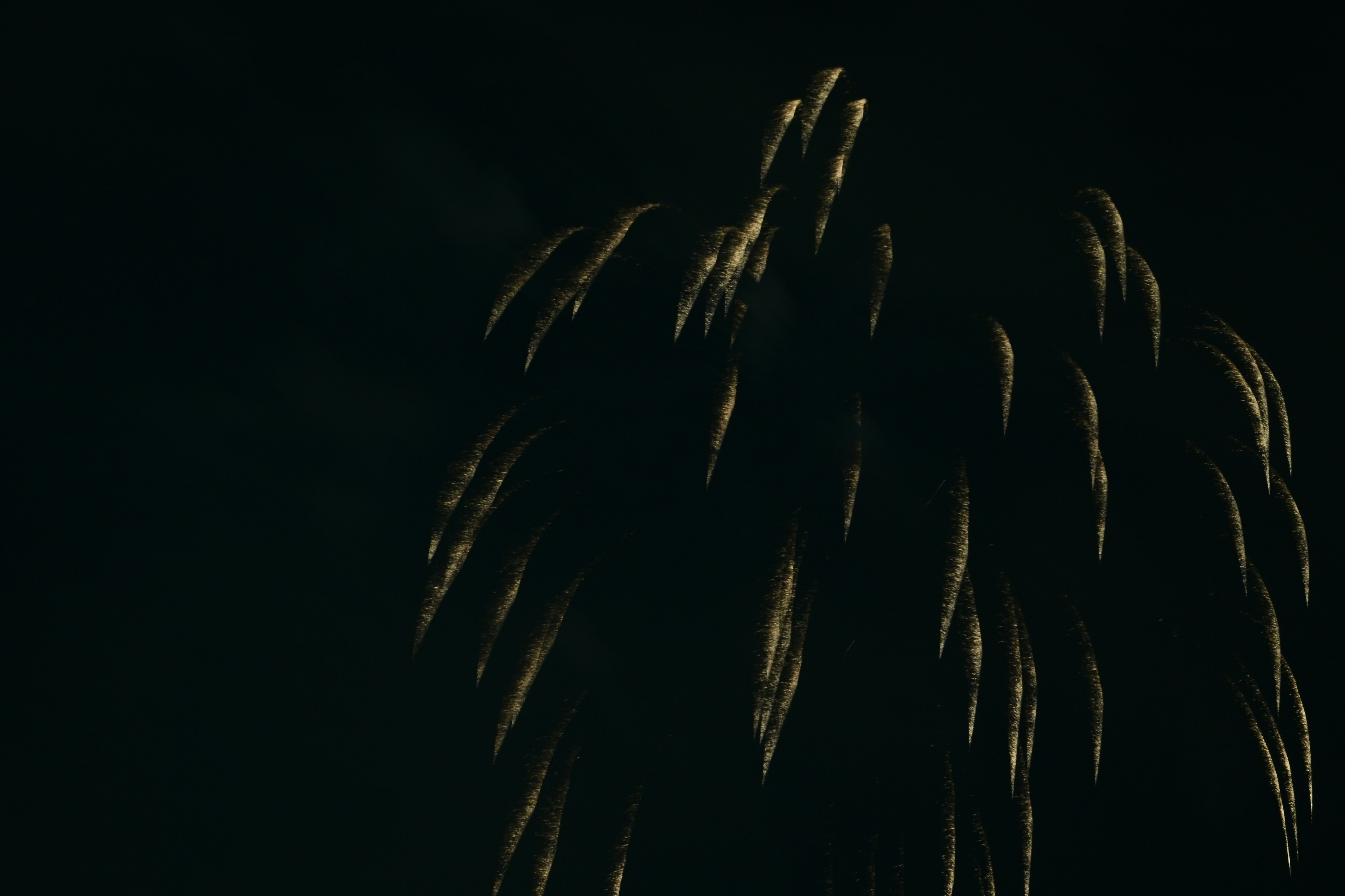 Golden fireworks bursting against a dark background