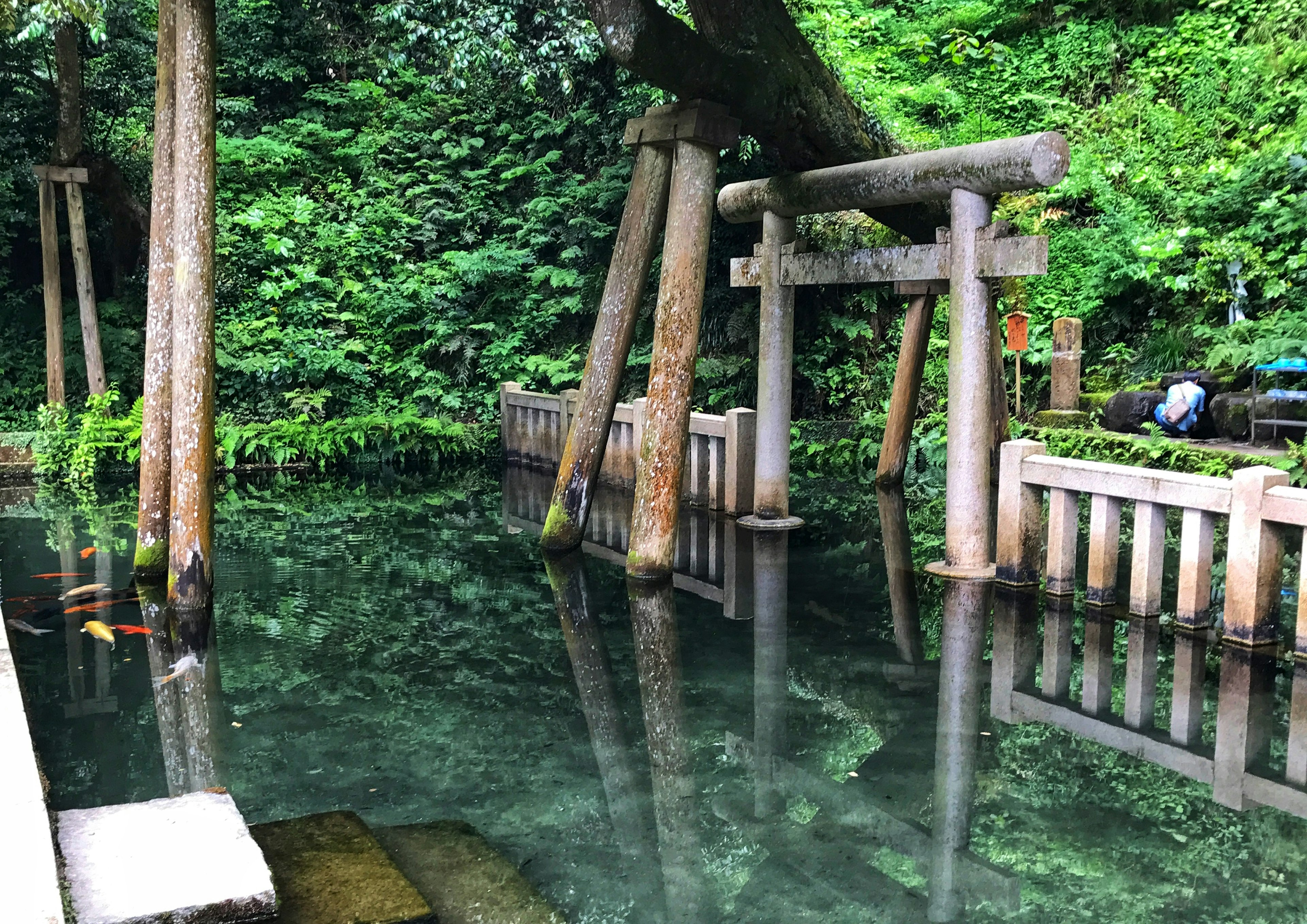 Scenic view of clear water and a torii gate surrounded by greenery