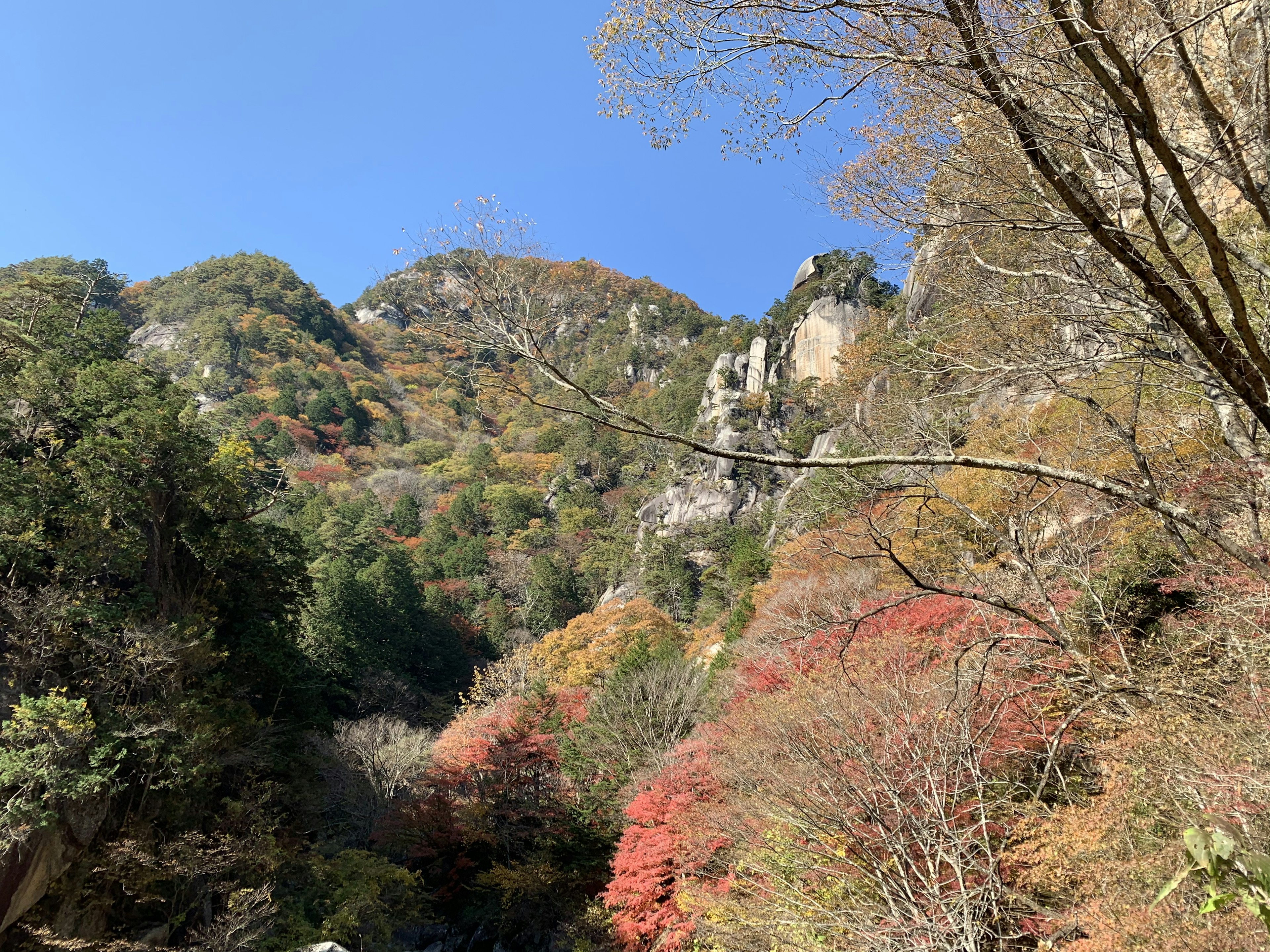 Schöne Herbstberge unter einem blauen Himmel mit bunten Blättern