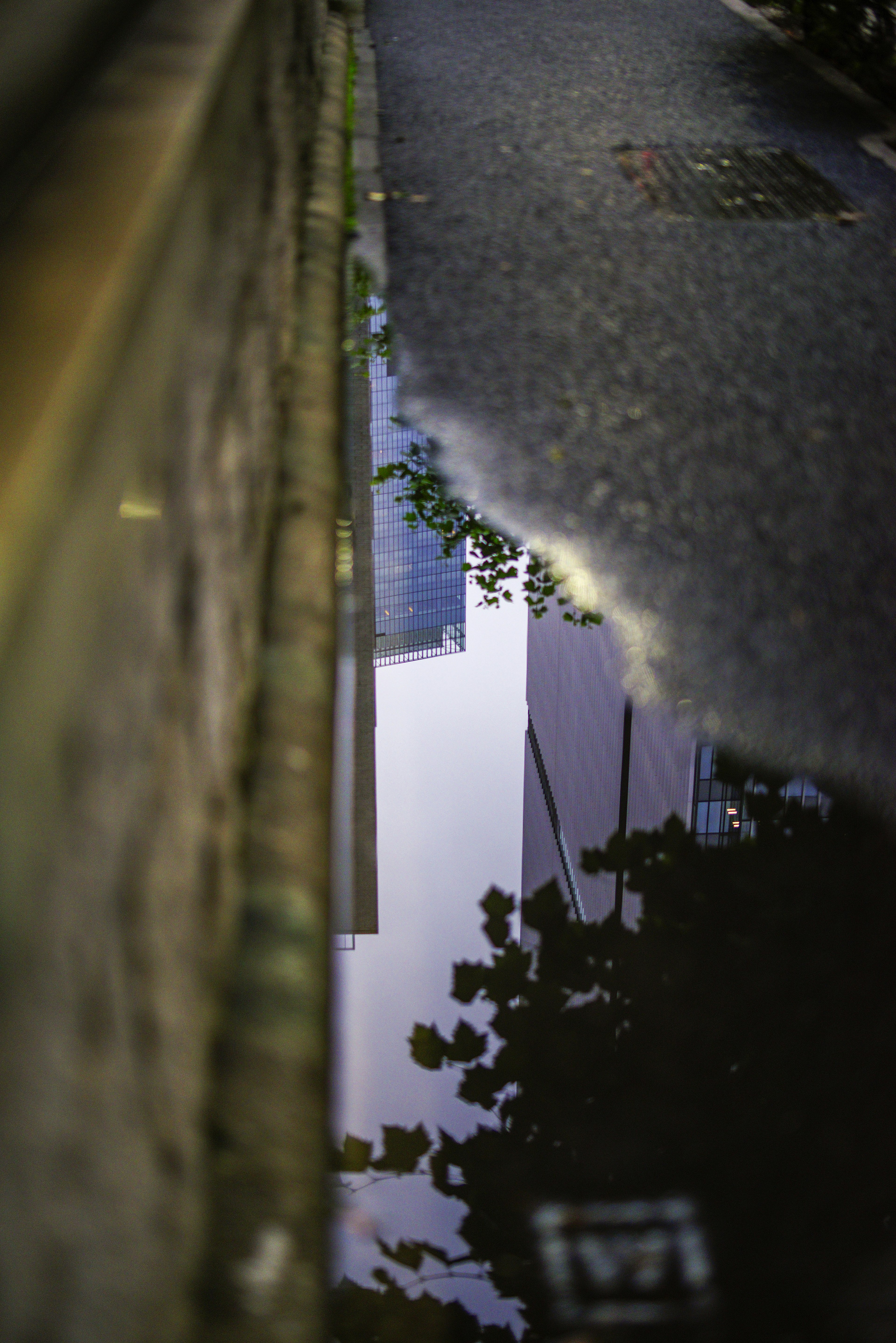 Gasse mit einer Pfütze, die Gebäude und Baumschatten spiegelt