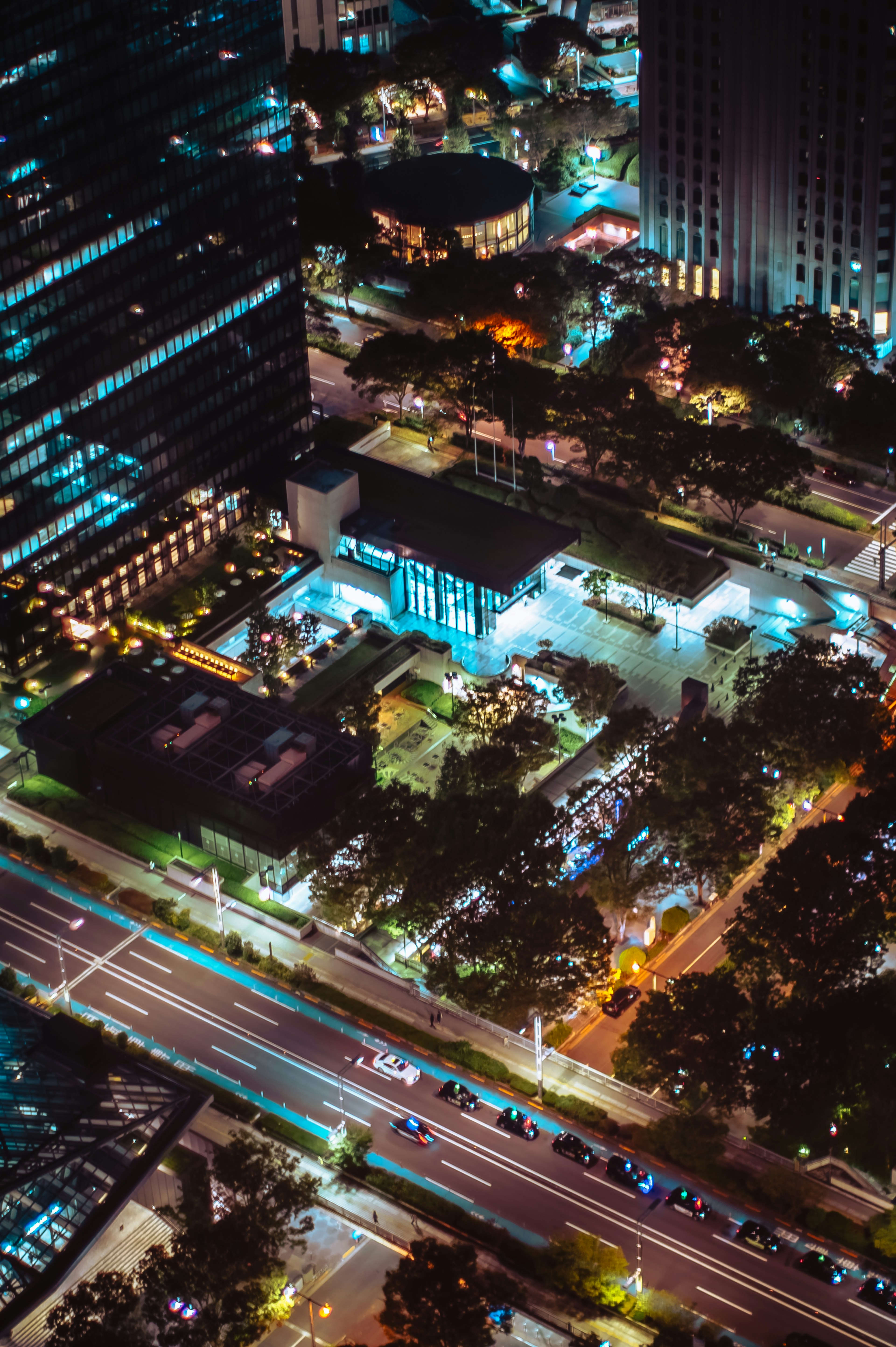 夜间城市风景 高楼大厦与绿树成荫的公园