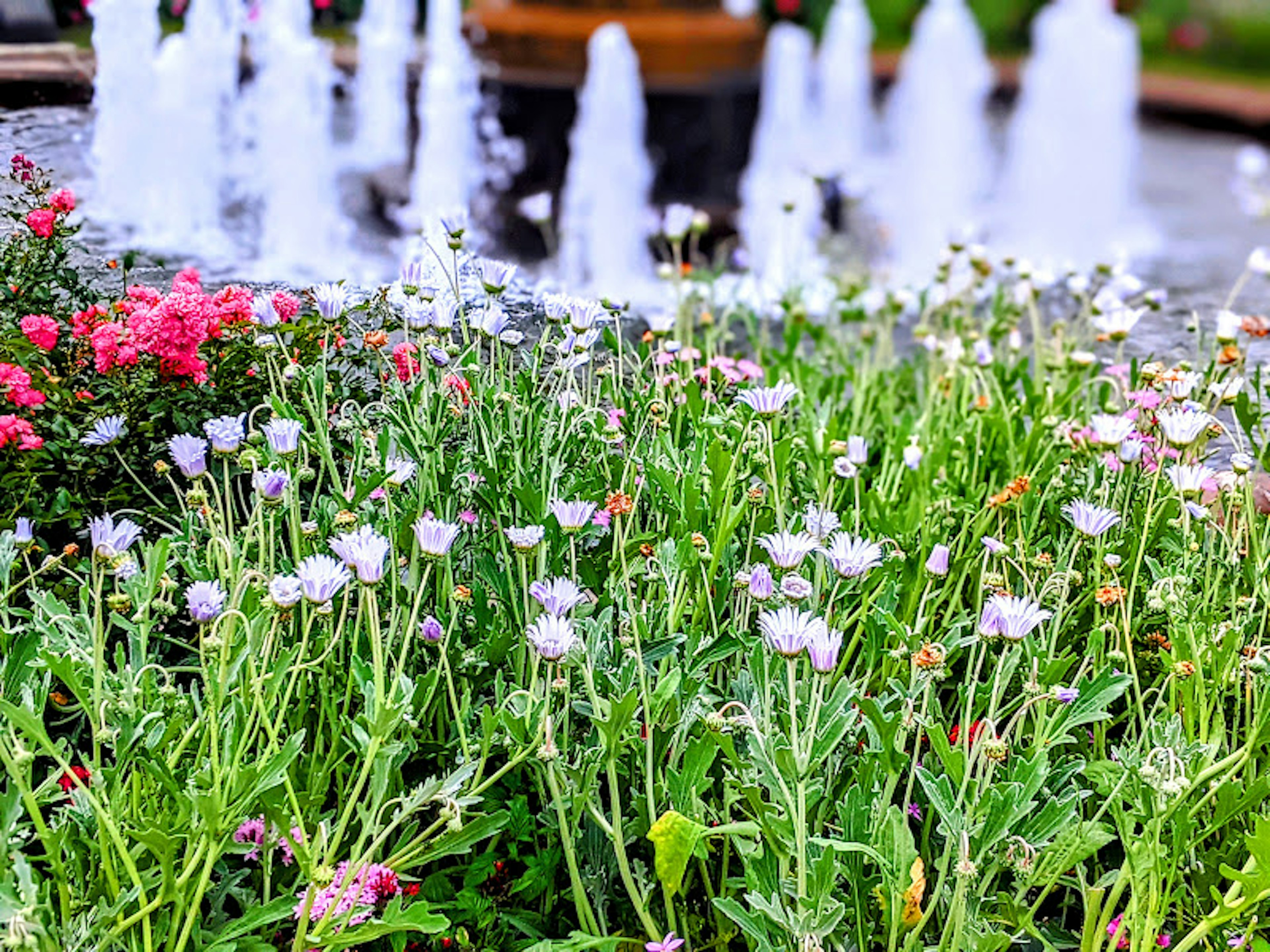 Hermoso jardín con flores coloridas y una fuente