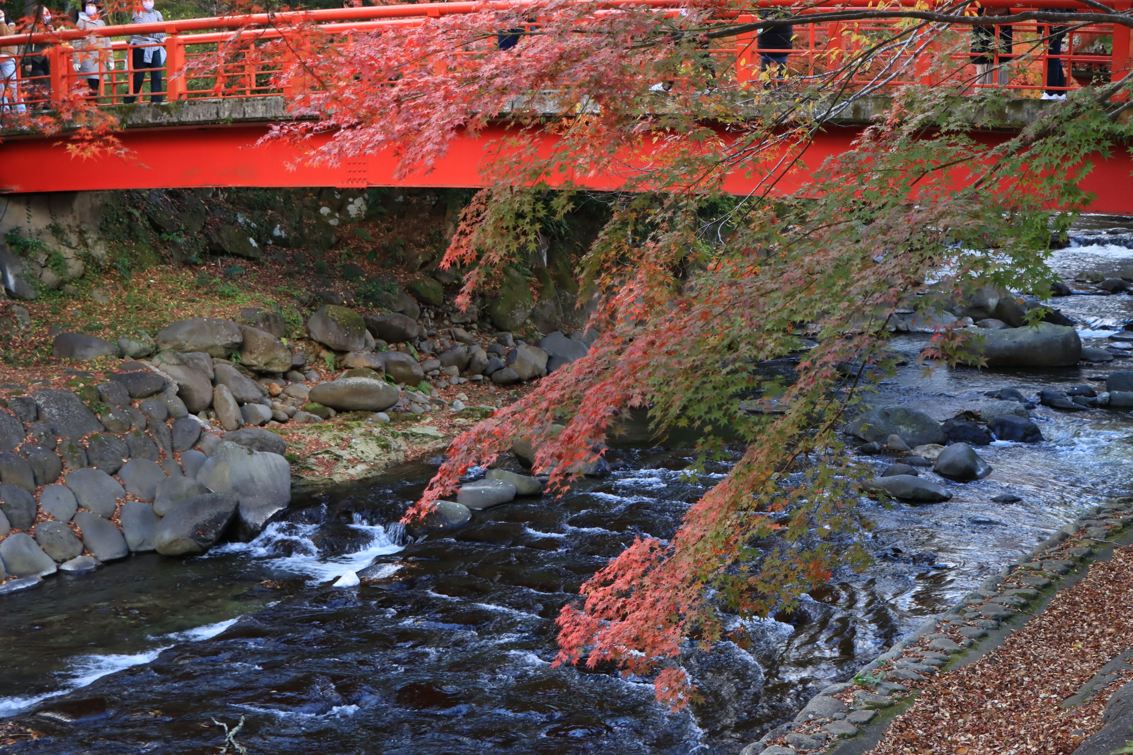 Red bridge with autumn foliage over a flowing river